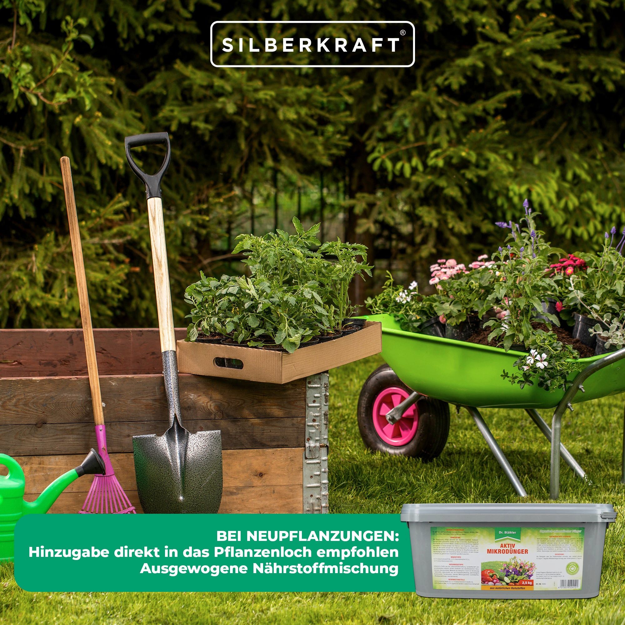 Silberkraft Pflanzenstärkungsmittel Aktiv Mikrodünger fest, gesunde
