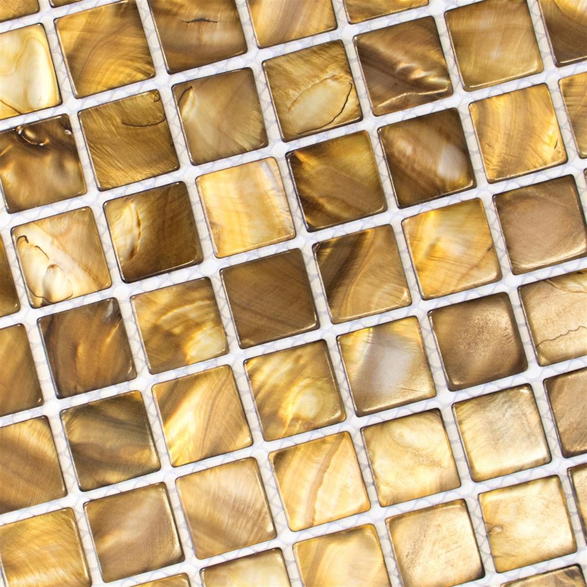 Mosafil Mosaikfliesen Mosaikfliesen Perlmutt Xenia, Perlmutt 30.000x30.000, beige-braun, Verlegefertig auf ein Netz geklebt
