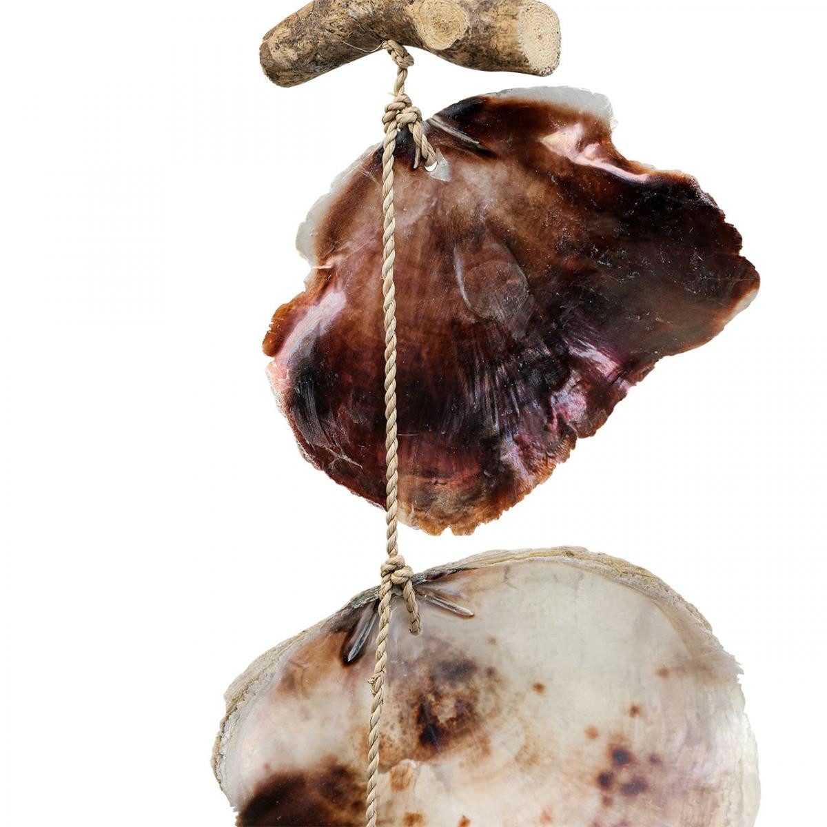 Kaemingk Bastelnaturmaterial Maritime Muschelgirlande Natur Deko, 150cm, Capiz-Muscheln mit