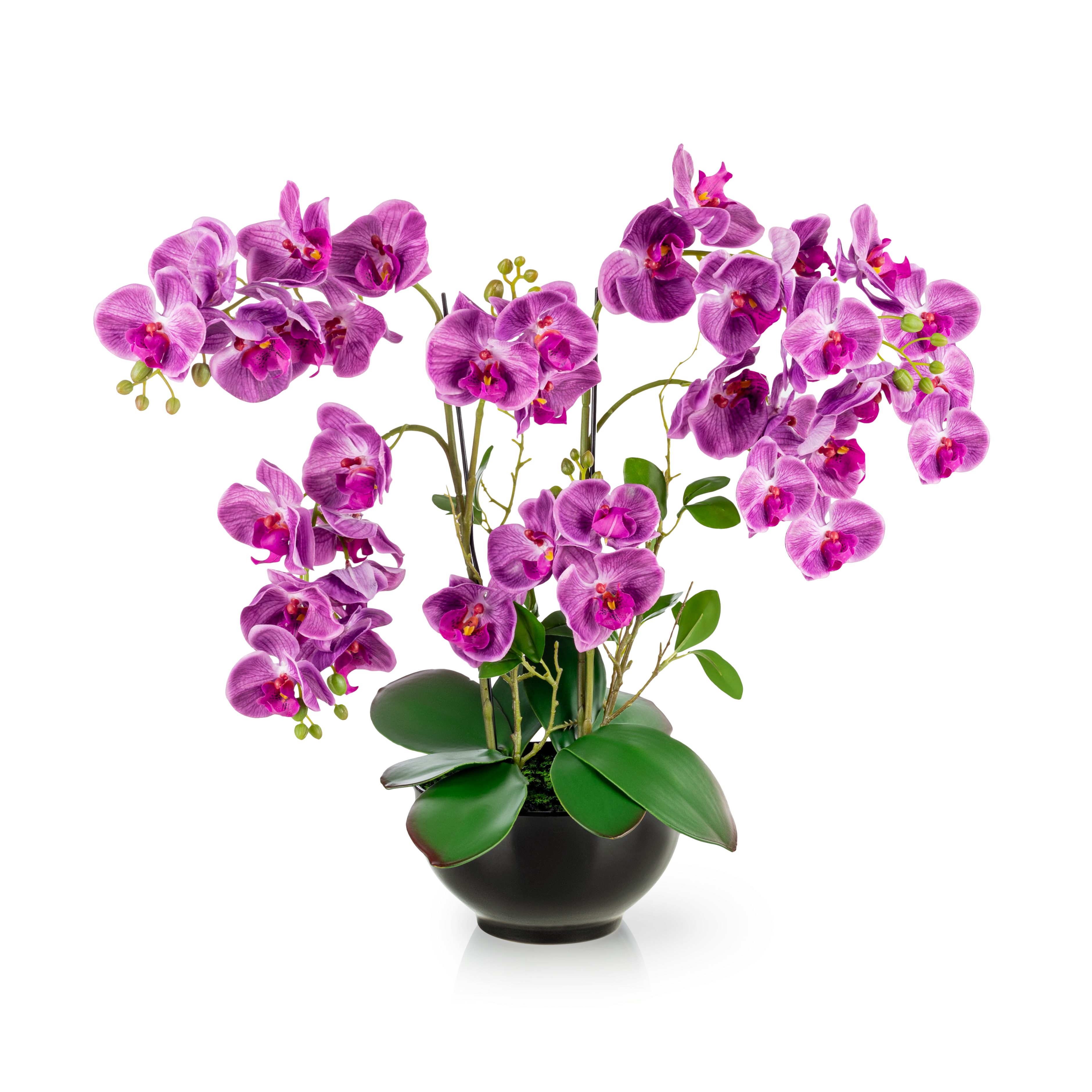 Kunstorchidee PASCH® XXL Orchidee künstlich wie günstig online kaufen