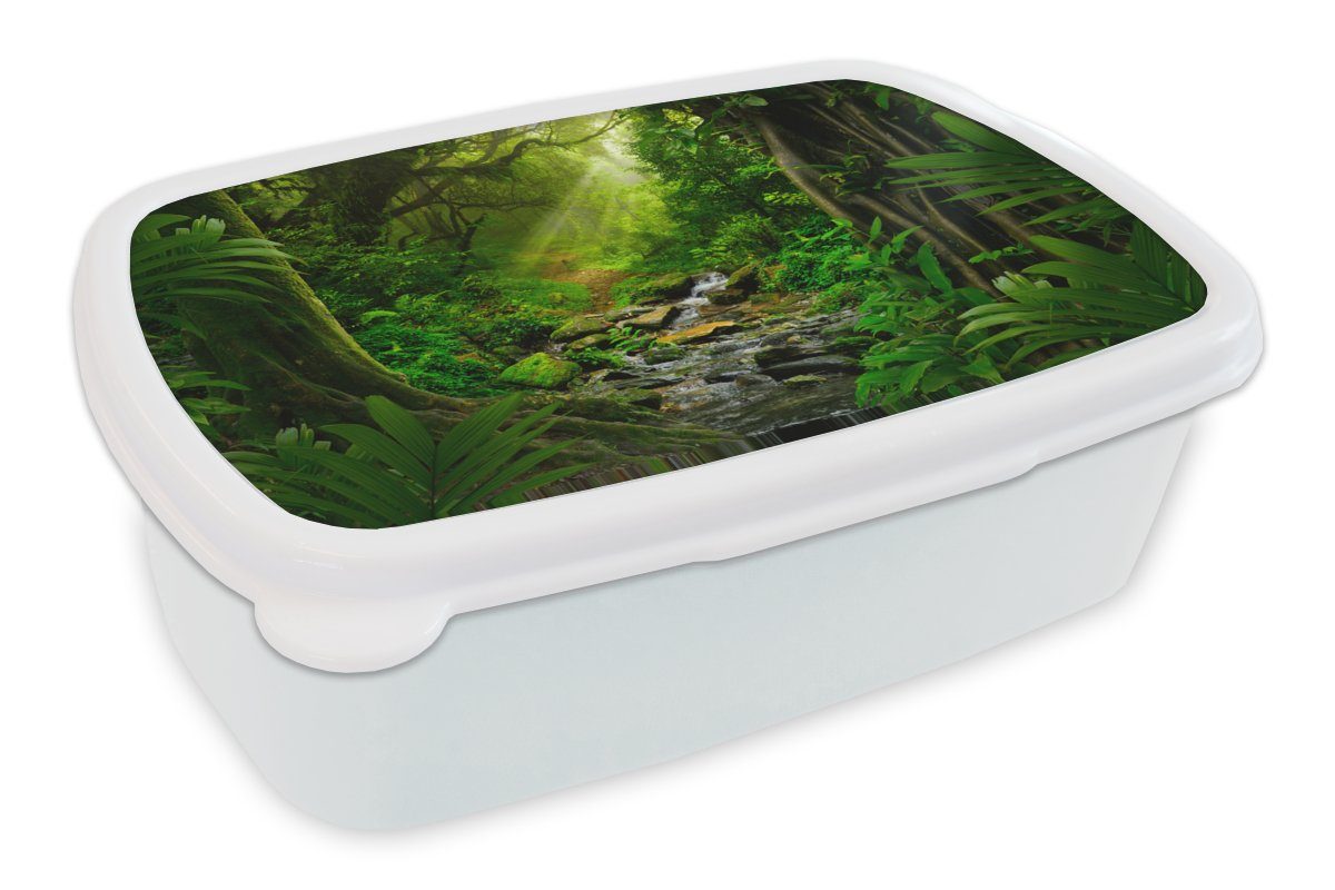 MuchoWow Lunchbox Dschungel - Wasser - Laub - Sonne - Natur, Kunststoff, (2-tlg), Brotbox für Kinder und Erwachsene, Brotdose, für Jungs und Mädchen weiß