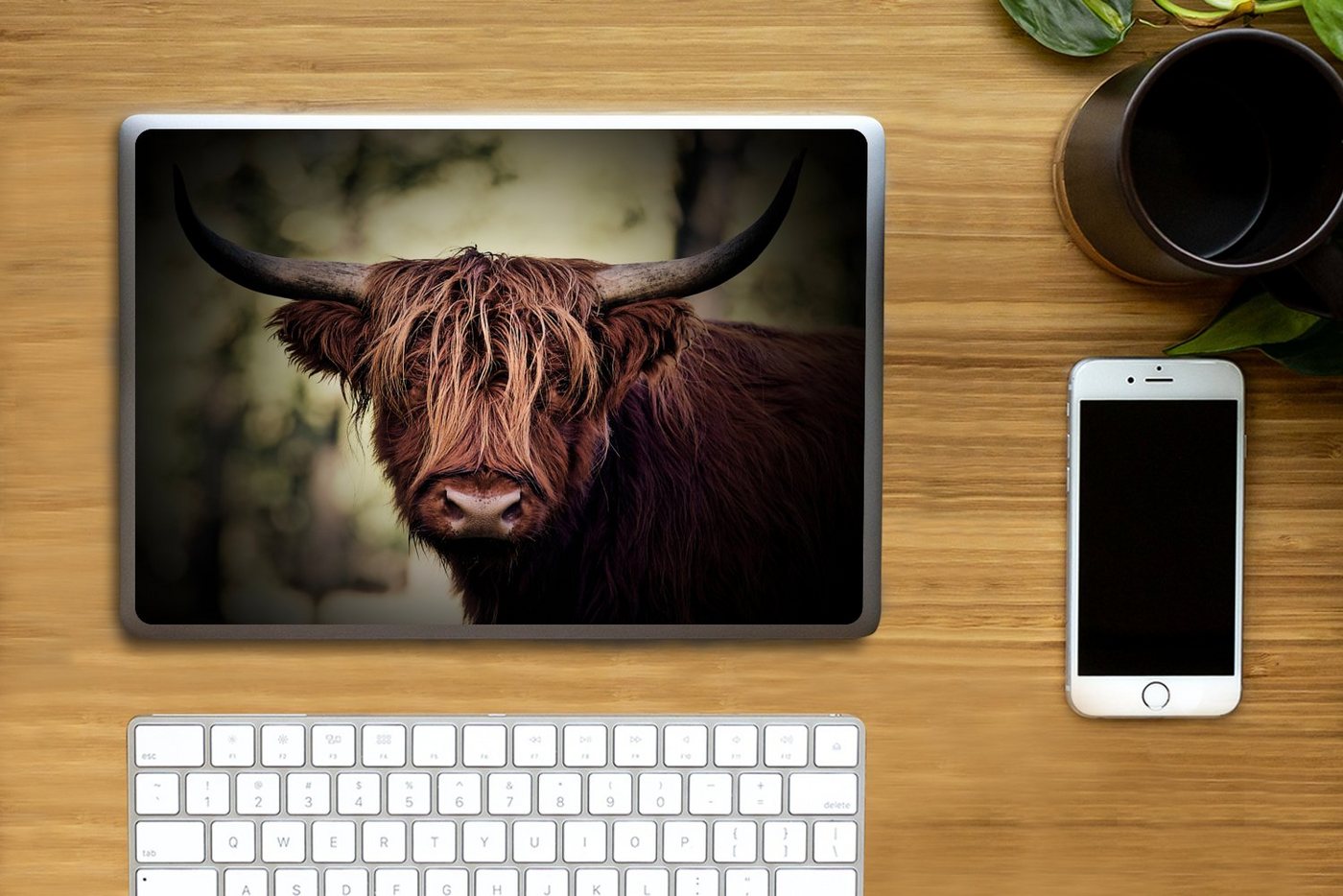 Thumbnail - MuchoWow Laptop-Aufkleber Schottischer Hochländer - Licht - Porträt - Natur