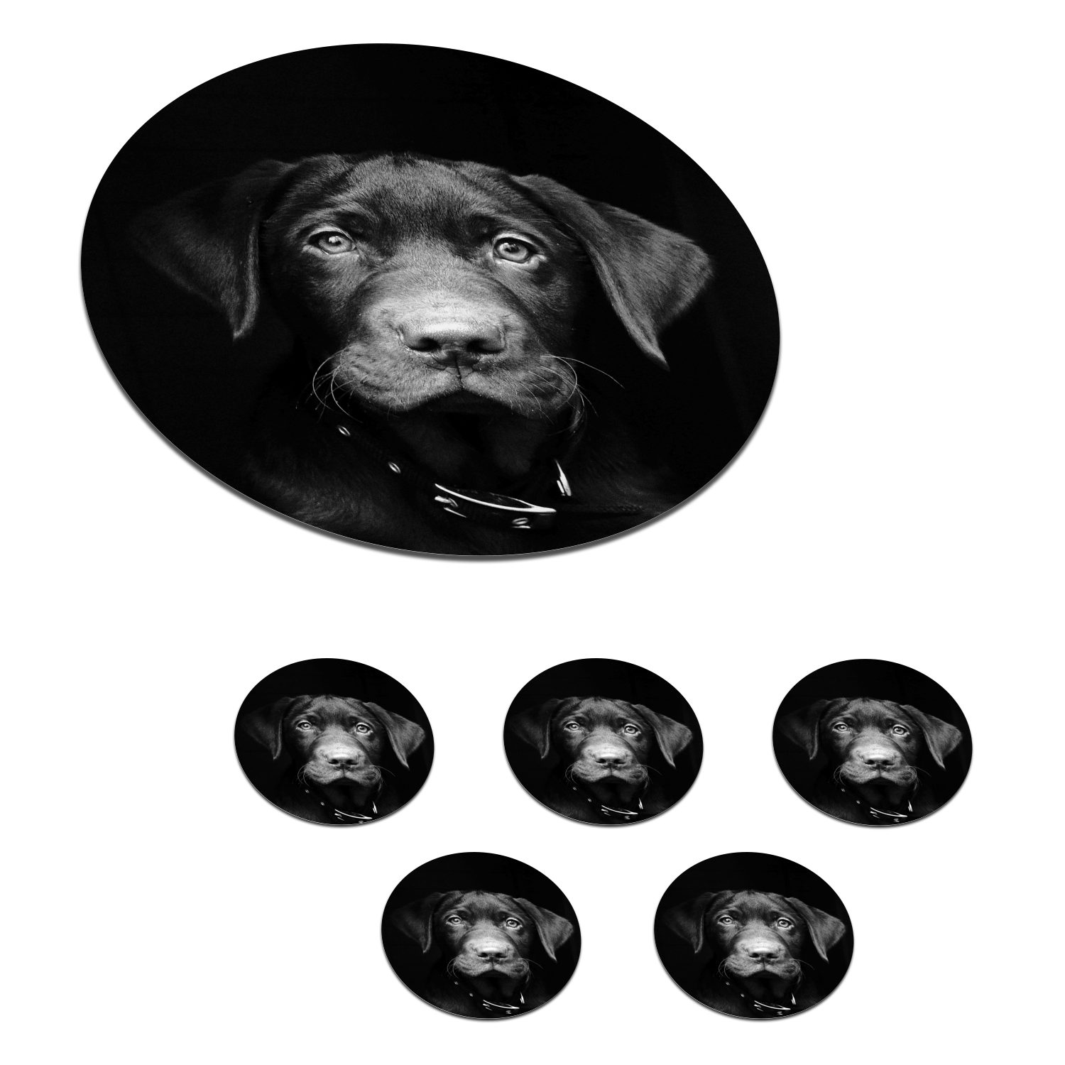 MuchoWow Glasuntersetzer Tierprofil Hund in schwarz und weiß, Zubehör für Gläser, 6-tlg., Getränkeuntersetzer, Tassenuntersetzer, Korkuntersetzer, Tasse, Becher