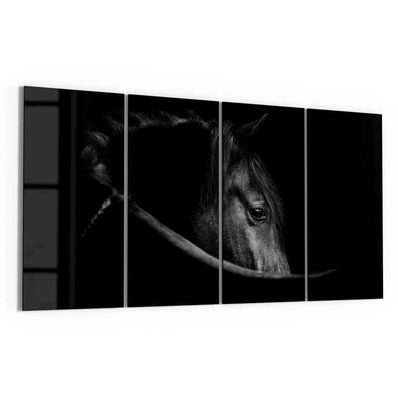 DEQORI Glasbild 'Schönes Pferd im Profil', 'Schönes Pferd im Profil', Glas Wandbild Bild schwebend modern