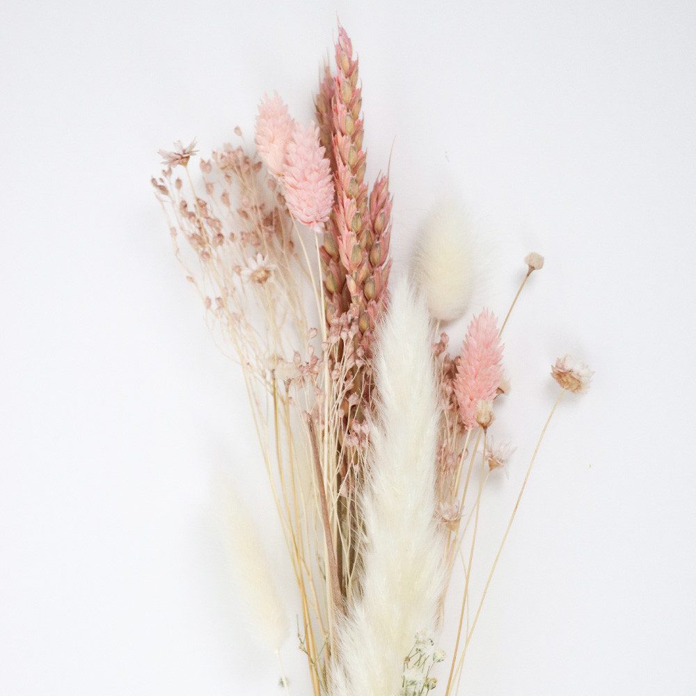 Trockenblume Tauschpaket FlowerBar ZUCKERWATTE Lagurus, Pampasgras, Phalaris, Schleierkraut, FlowerBar by Trockenblumen-Manufaktur, Länge Blumen ca. 25 - 45 cm