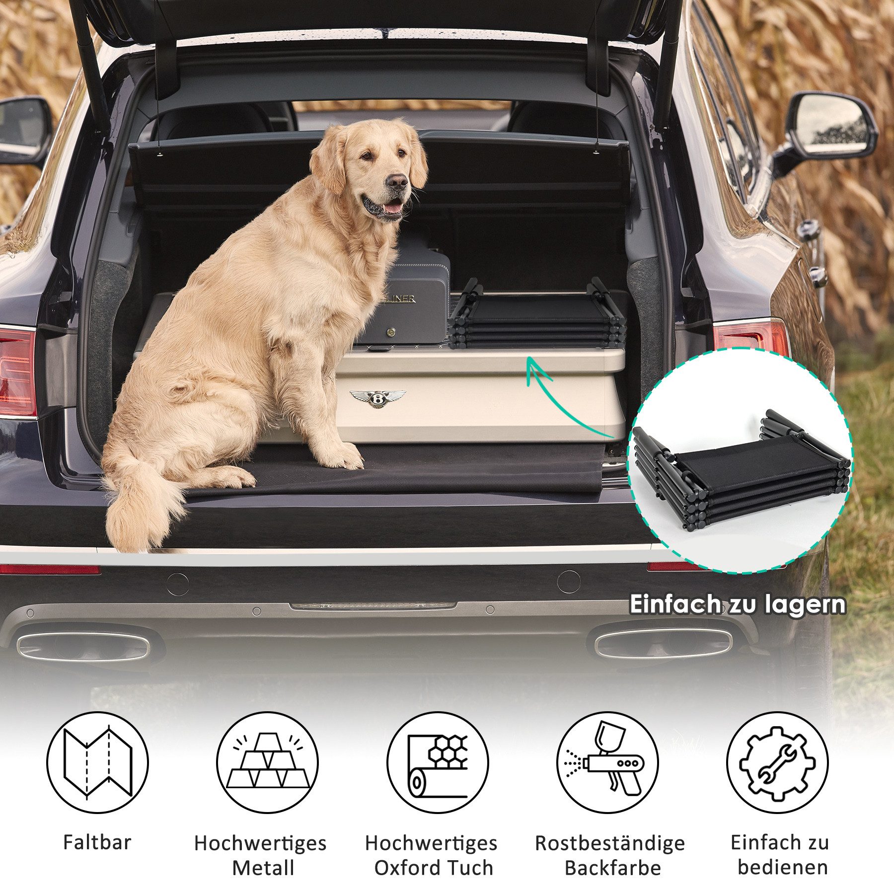 CALIYO Hunderampe Hundetreppe Faltbar Auto, 4 Stufen, Hunderampe, Stahl, Einstiegshilfe Hund Auto - Hundetreppe große Hunde bis 75kg