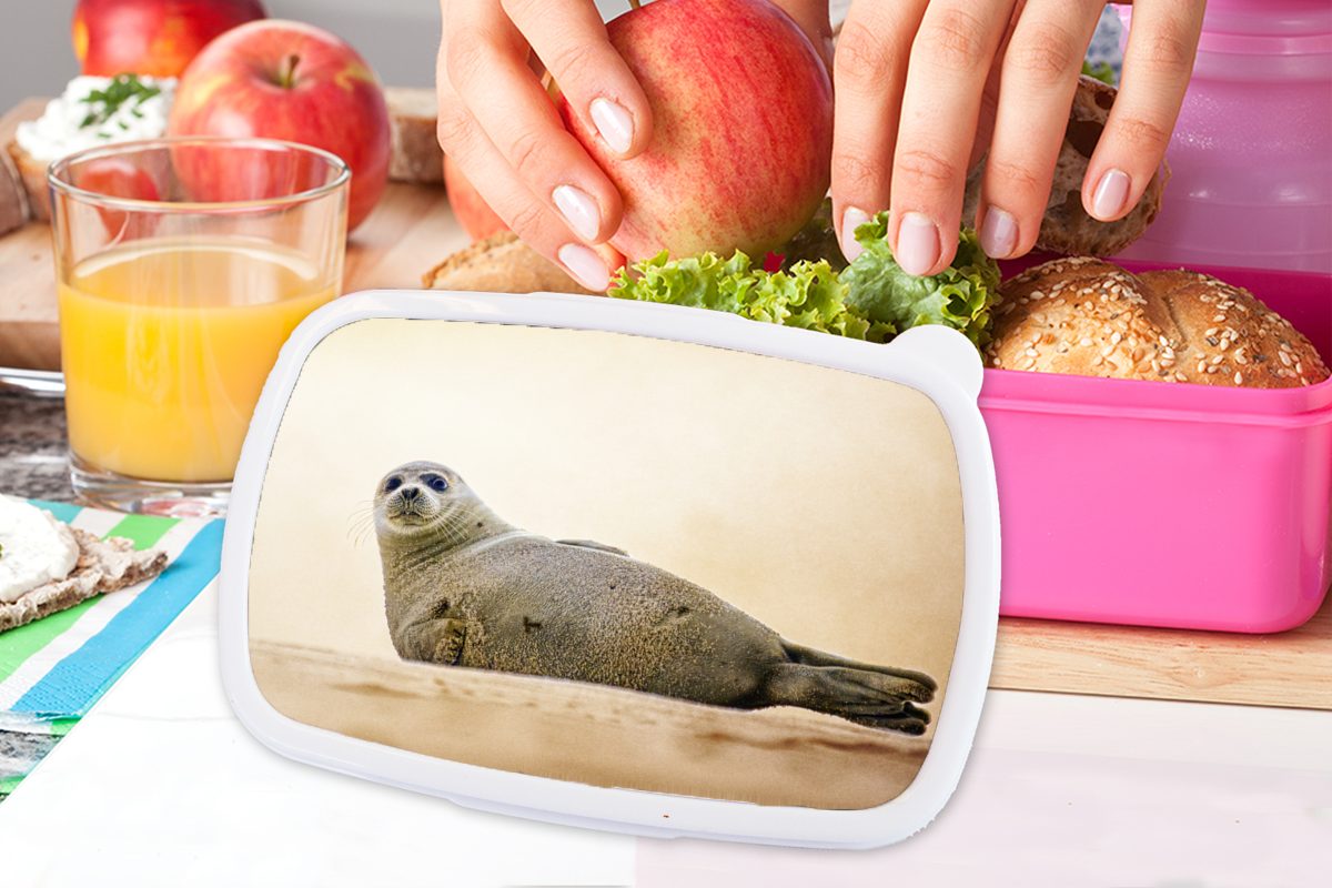 MuchoWow Lunchbox Seal - Strand - Kinder, Erwachsene, Island, Snackbox, rosa Brotdose (2-tlg), Long Kunststoff Mädchen, Brotbox für Kunststoff