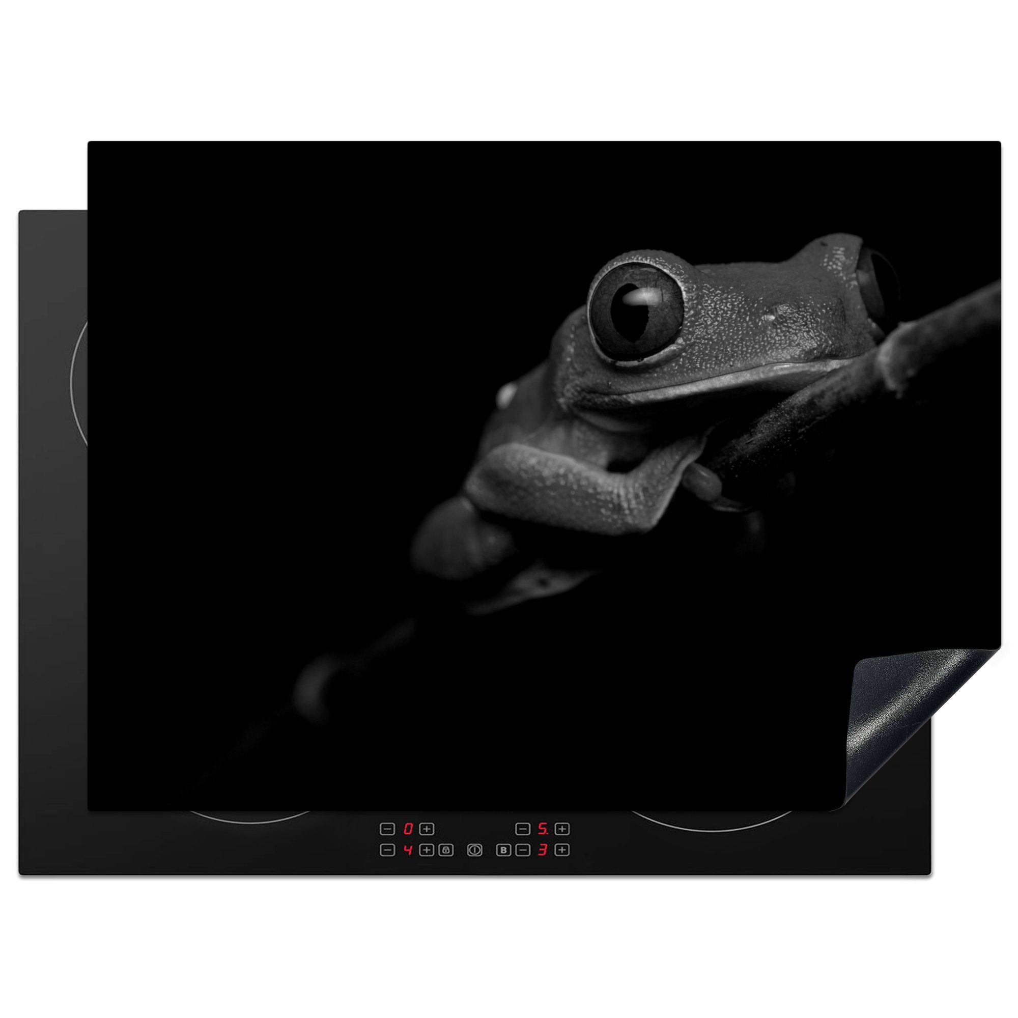 MuchoWow Herdblende-/Abdeckplatte Rotäugiger Quecksilberfrosch auf schwarzem Hintergrund - schwarz und, Vinyl, (1 tlg), 70x52 cm, Mobile Arbeitsfläche nutzbar, Ceranfeldabdeckung