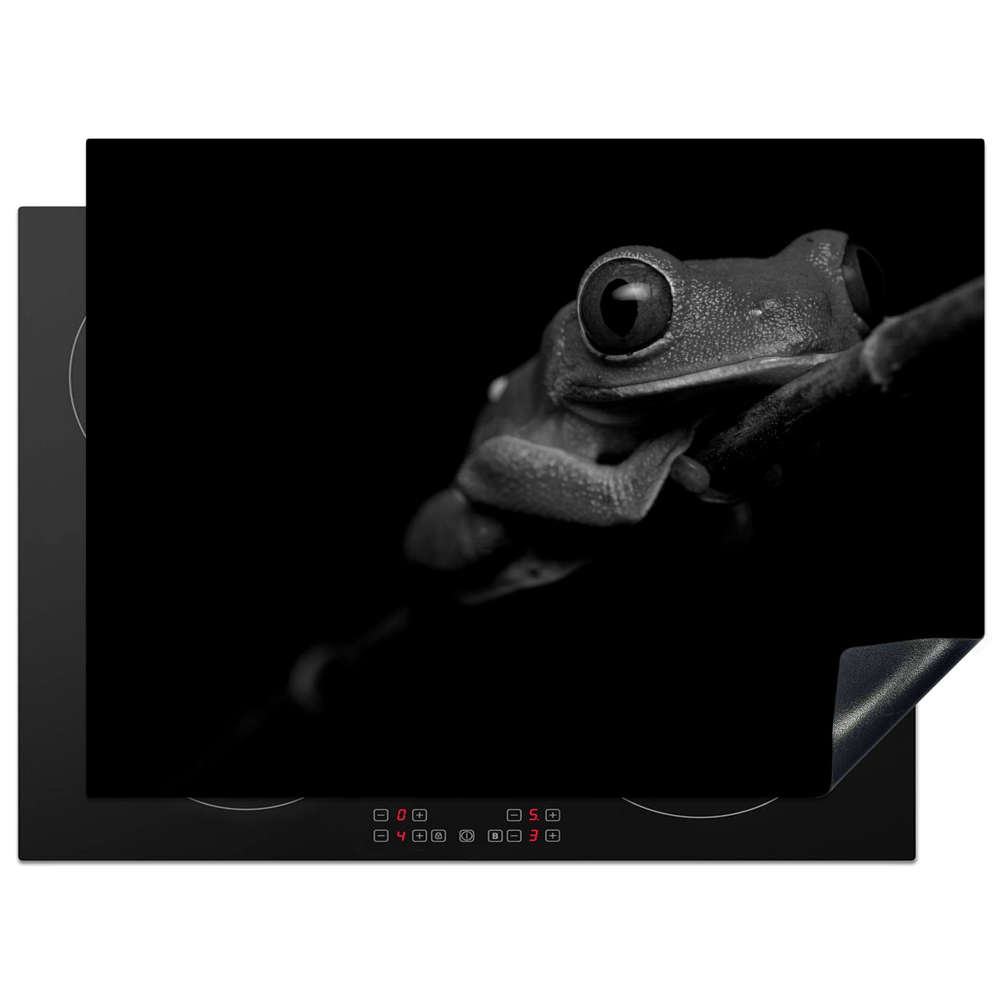 nutzbar, Hintergrund tlg), - Ceranfeldabdeckung 70x52 Arbeitsfläche Herdblende-/Abdeckplatte cm, Rotäugiger Quecksilberfrosch (1 und, schwarzem Mobile MuchoWow Vinyl, auf schwarz