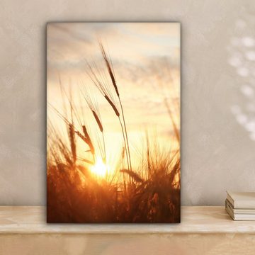 OneMillionCanvasses® Leinwandbild Schilf - Gras - Sonnenuntergang - Natur - Horizont, (1 St), Leinwandbild fertig bespannt inkl. Zackenaufhänger, Gemälde, 20x30 cm