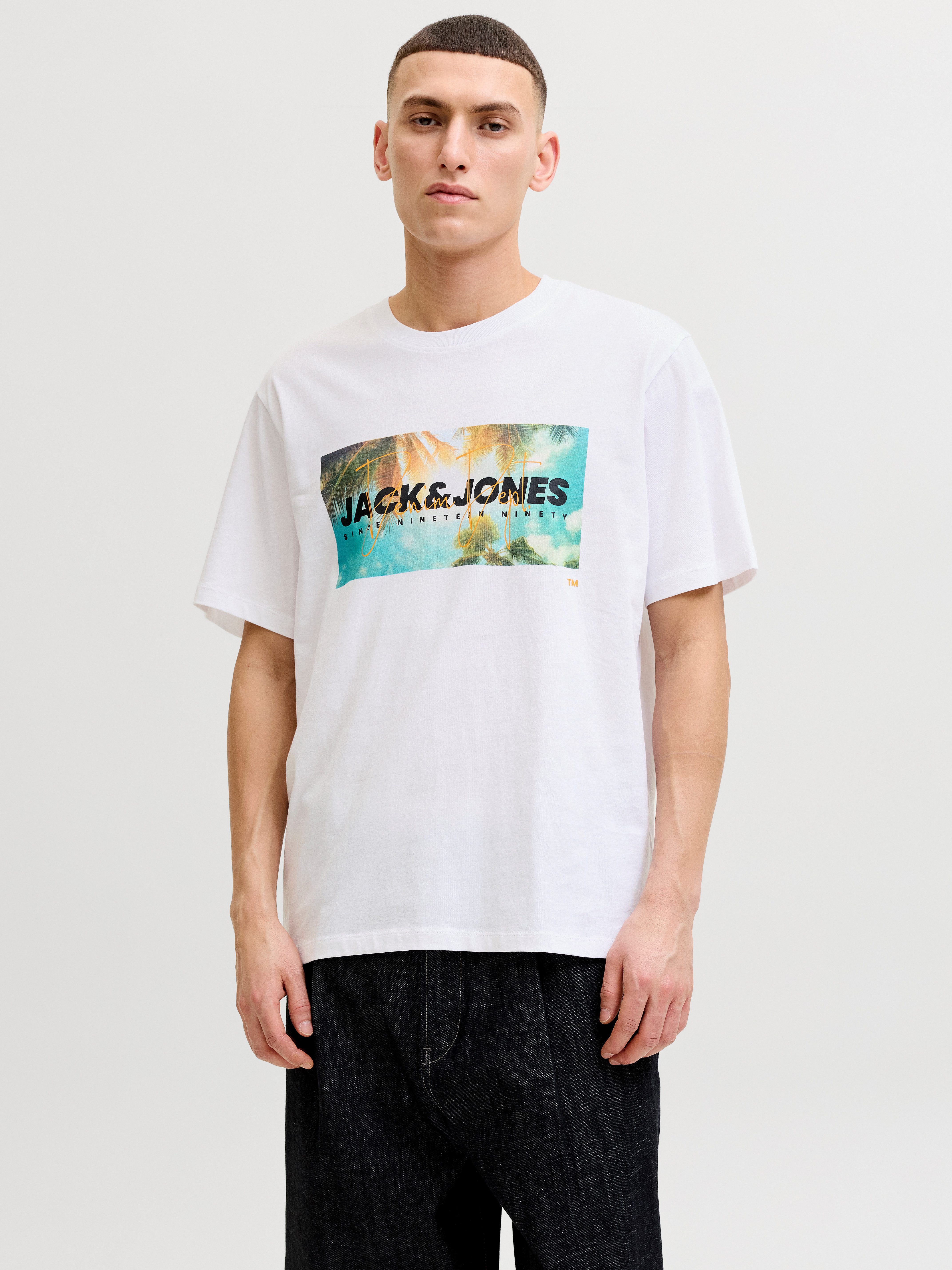 Jack & Jones Rundhalsshirt JJINDIANA TEE SS CREW NECK