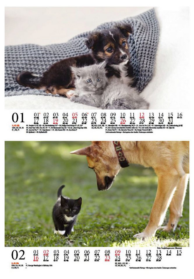 Thumbnail - Seelenzauber Tischkalender Tierzauber Hund und Katz DIN A5 Kalender für 2025 Freundschaften