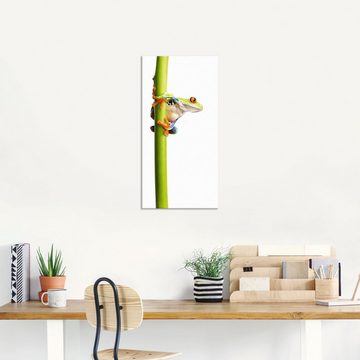 Artland Wandbild Frosch umfasst einen Pflanzenstengel, Wassertiere (1 St), als Alubild, Outdoorbild, Leinwandbild in verschied. Größen