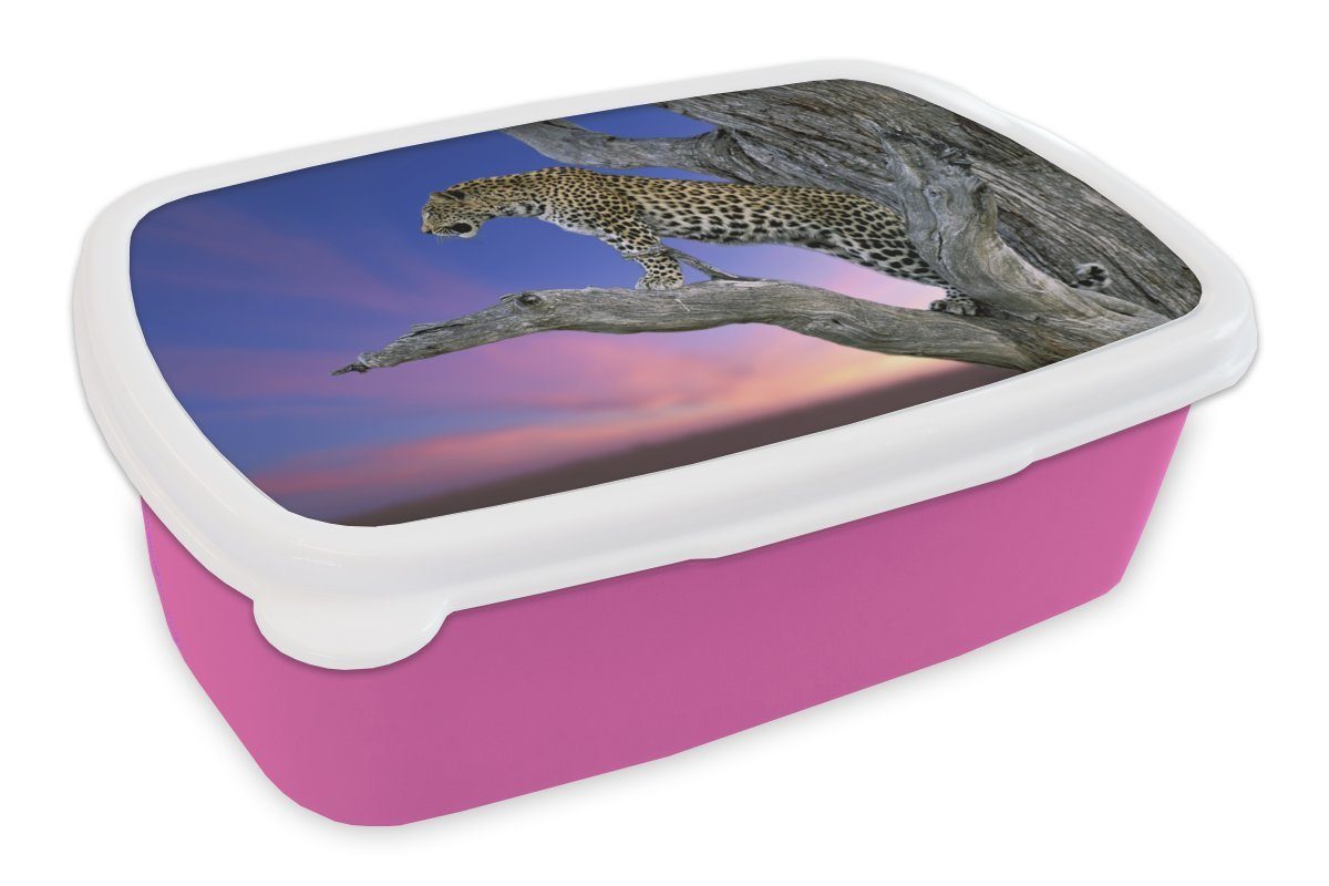 MuchoWow Lunchbox Leopard - Baum - Zweig, Kunststoff, (2-tlg), Brotbox für Erwachsene, Brotdose Kinder, Snackbox, Mädchen, Kunststoff rosa