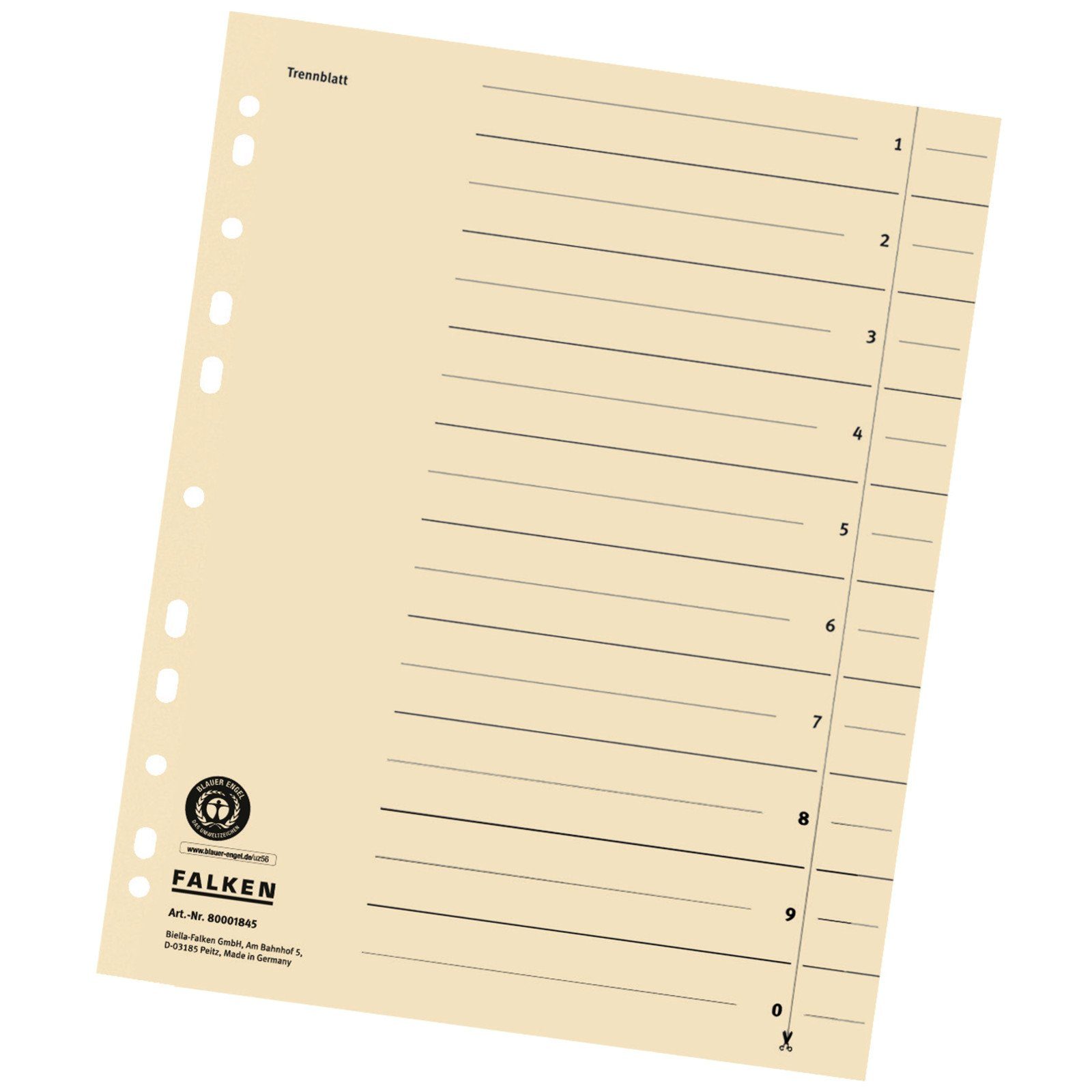 Falken Aktenordner, Trennblätter A4 24 x 30cm 180g/m² chamois liniert Lochränder