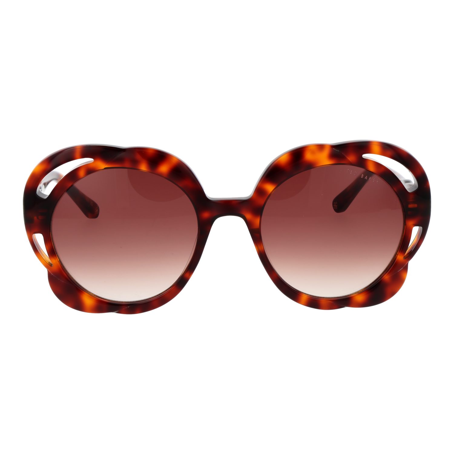 Ted Baker Sonnenbrille TB1772 53100