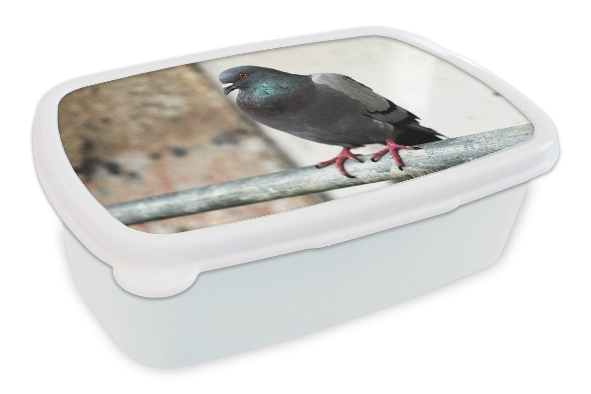 MuchoWow Lunchbox Eine bunte Taube auf einem Holzstab, Kunststoff, (2-tlg), Brotbox für Kinder und Erwachsene, Brotdose, für Jungs und Mädchen weiß
