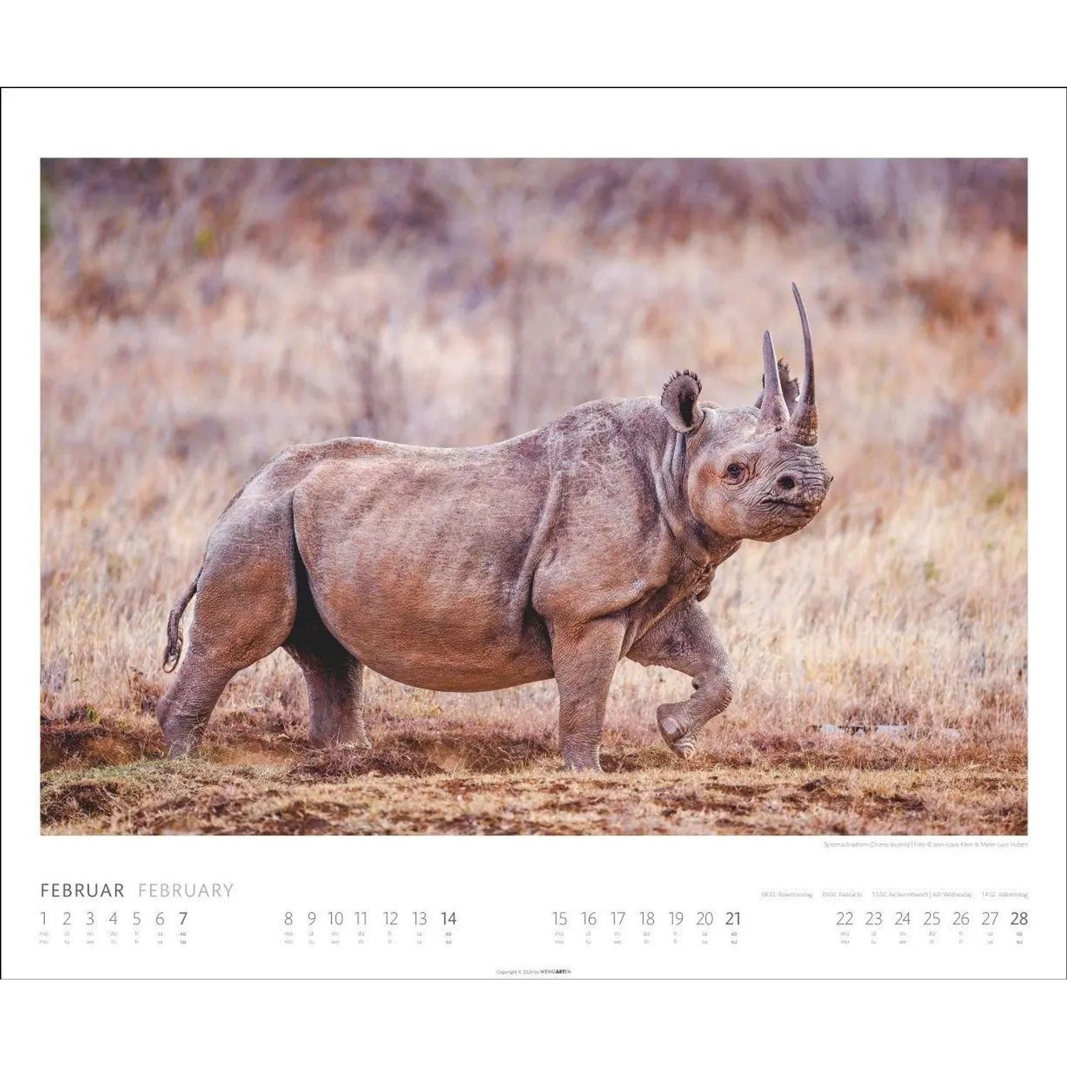 Wandkalender African Wildlife Kalender 2027 – Bild 4 von 5