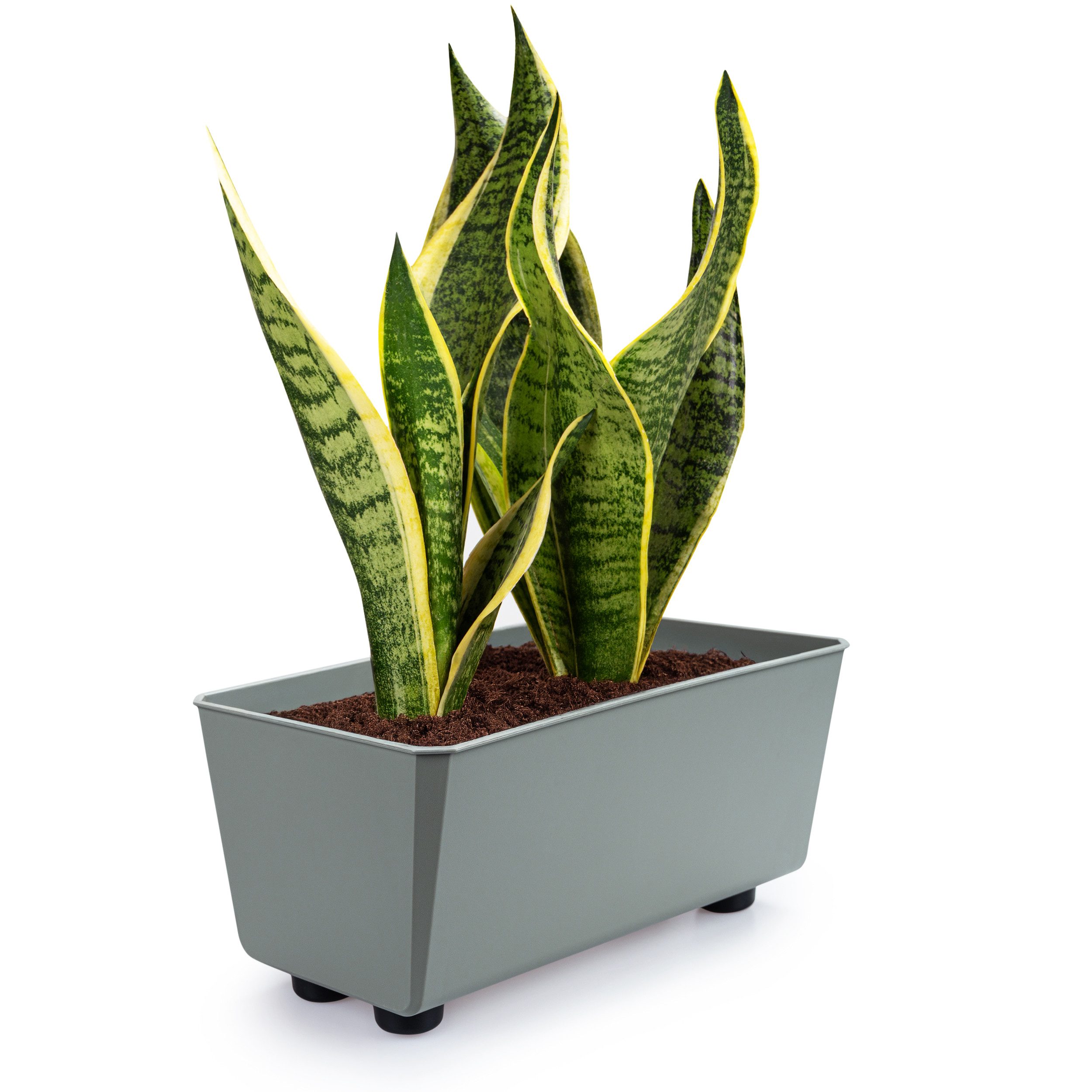 KONZEPT Blumenkasten Blumentöpfe mit Füßen, rechteckig – kleine Blumenkästen 4,2 L (1 St), 284x168x173 mm, ideal für Fensterbank & Zimmerpflanzen