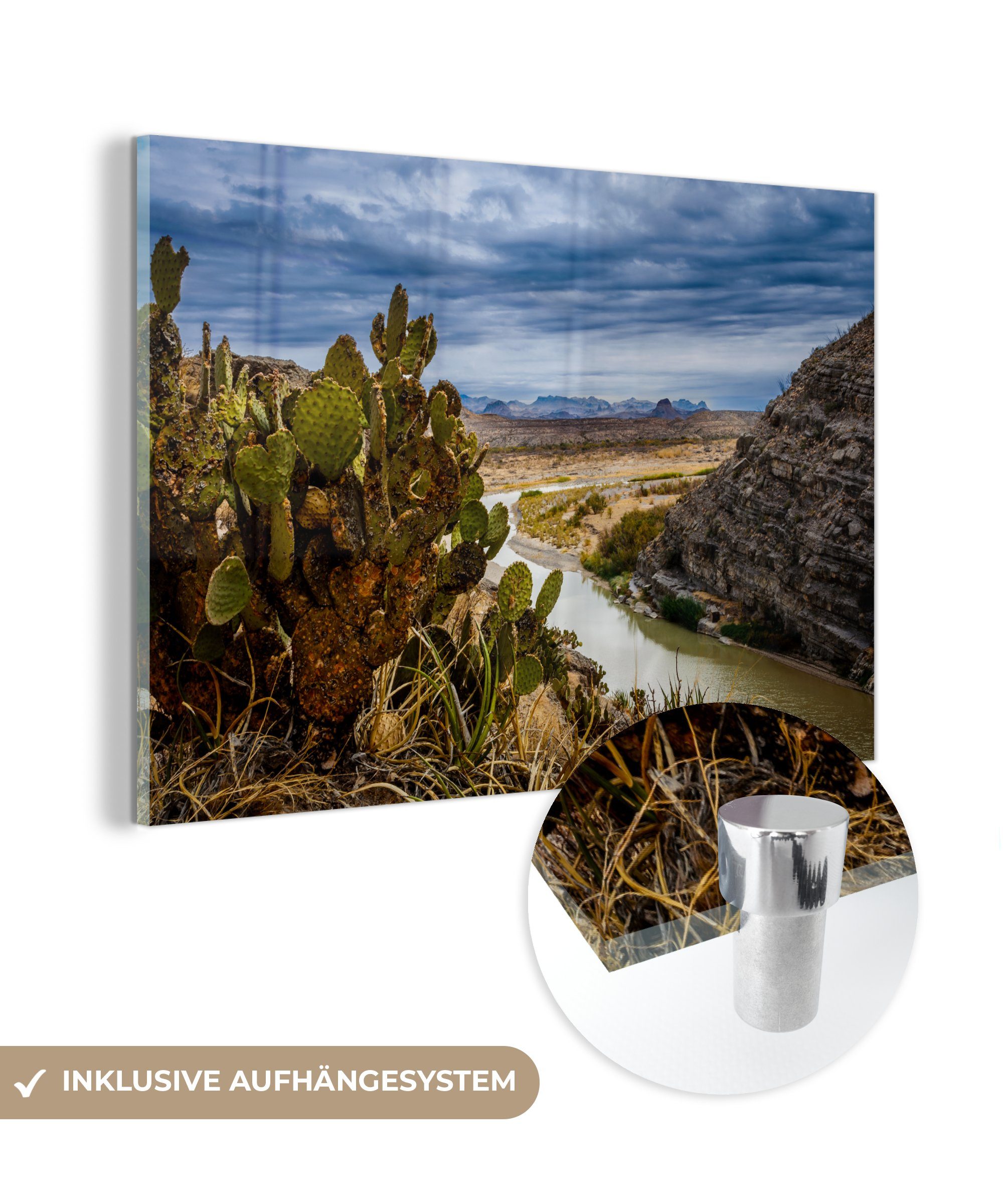 MuchoWow Acrylglasbild Ein Kaktus und ein Fluss unter einem imposanten Himmel im Big Bend, (1 St), Acrylglasbilder Wohnzimmer & Schlafzimmer