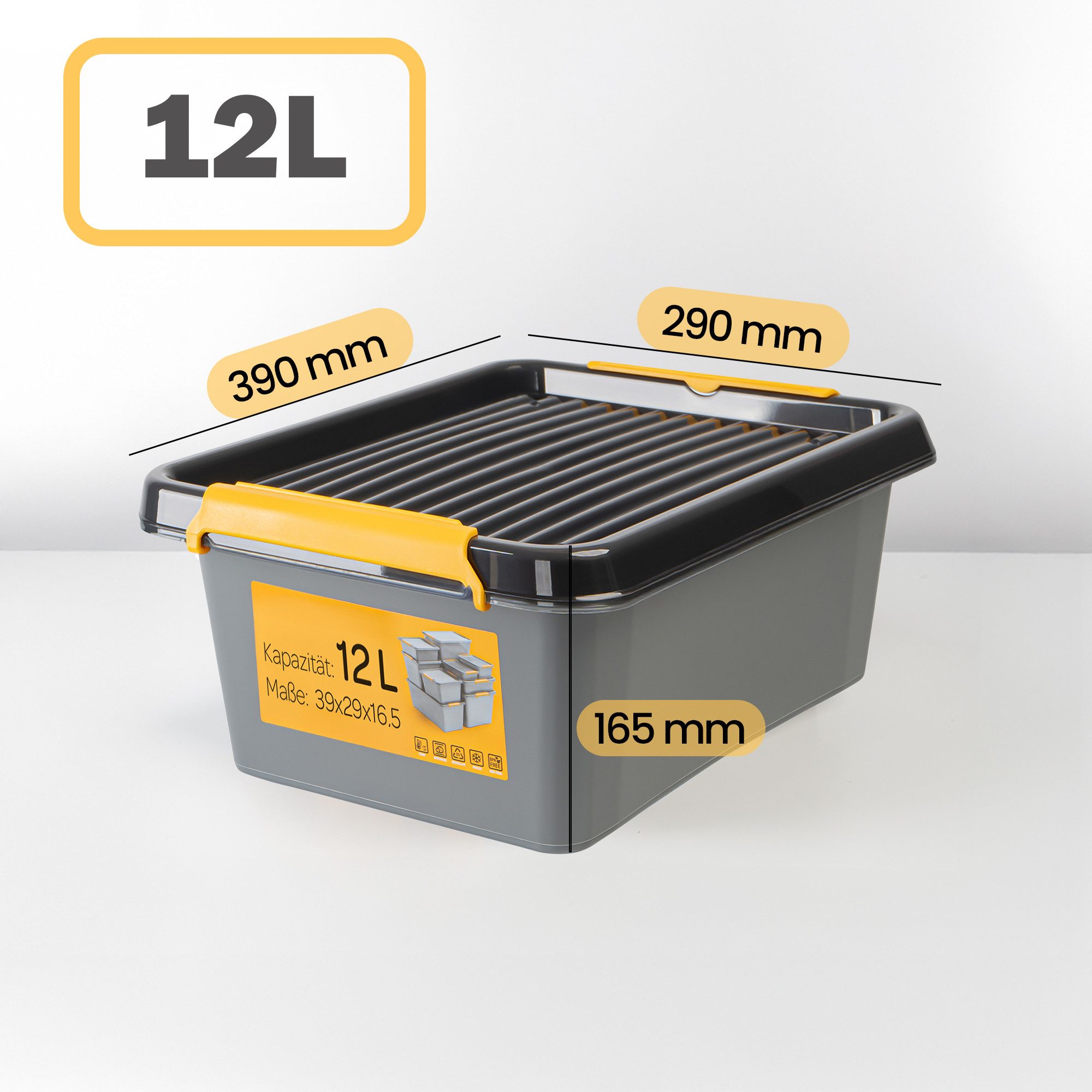 KONZEPT Aufbewahrungsbox mit Deckel, Stapelbox aus günstig online kaufen