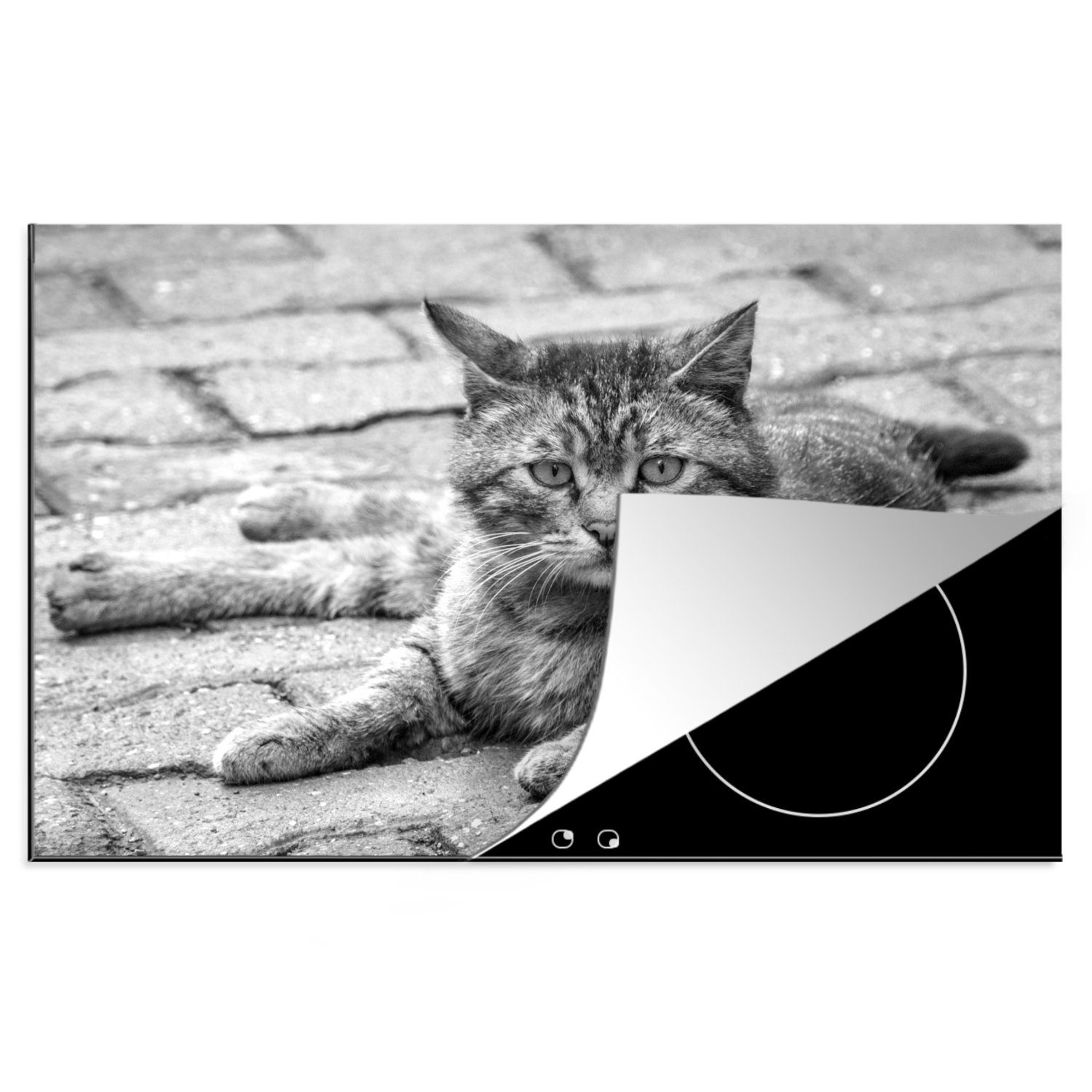 MuchoWow Herdblende-/Abdeckplatte Katze - Tier Ceranfeldabdeckung Vinyl, 81x52 cm, Jungen Kind, Schutz Braun tlg), - (1 die Induktionskochfeld Mädchen küche, - - Kinder für - 