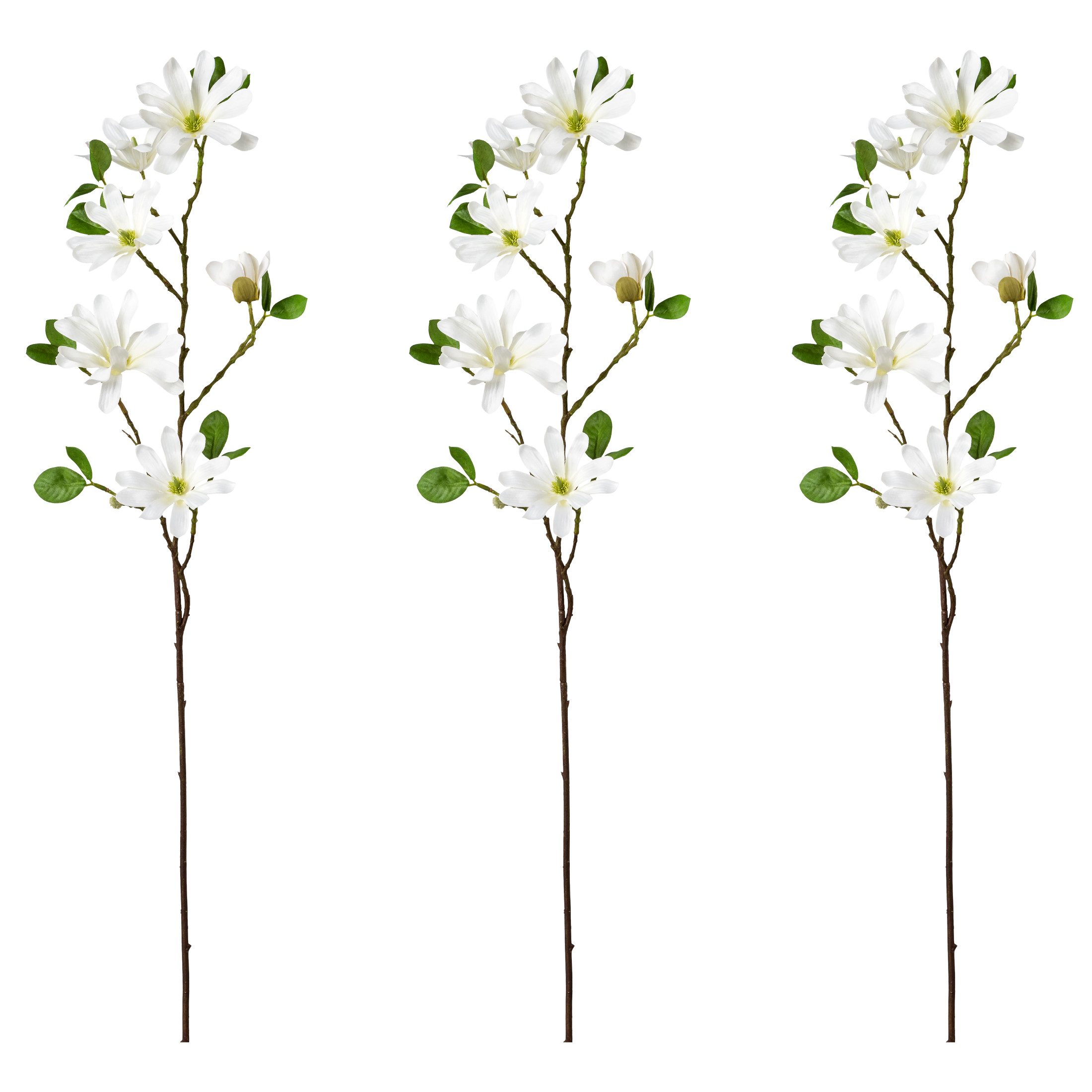 Kunstblume Sternmagnolie, Creativ green, Höhe 86 günstig online kaufen