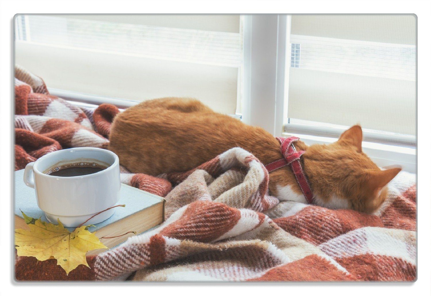 Wallario Frühstücksbrett Schlafende Katze beim Kaffeekränzchen, (inkl. rutschfester Gummifüße 4mm, 1-St), 20x30cm