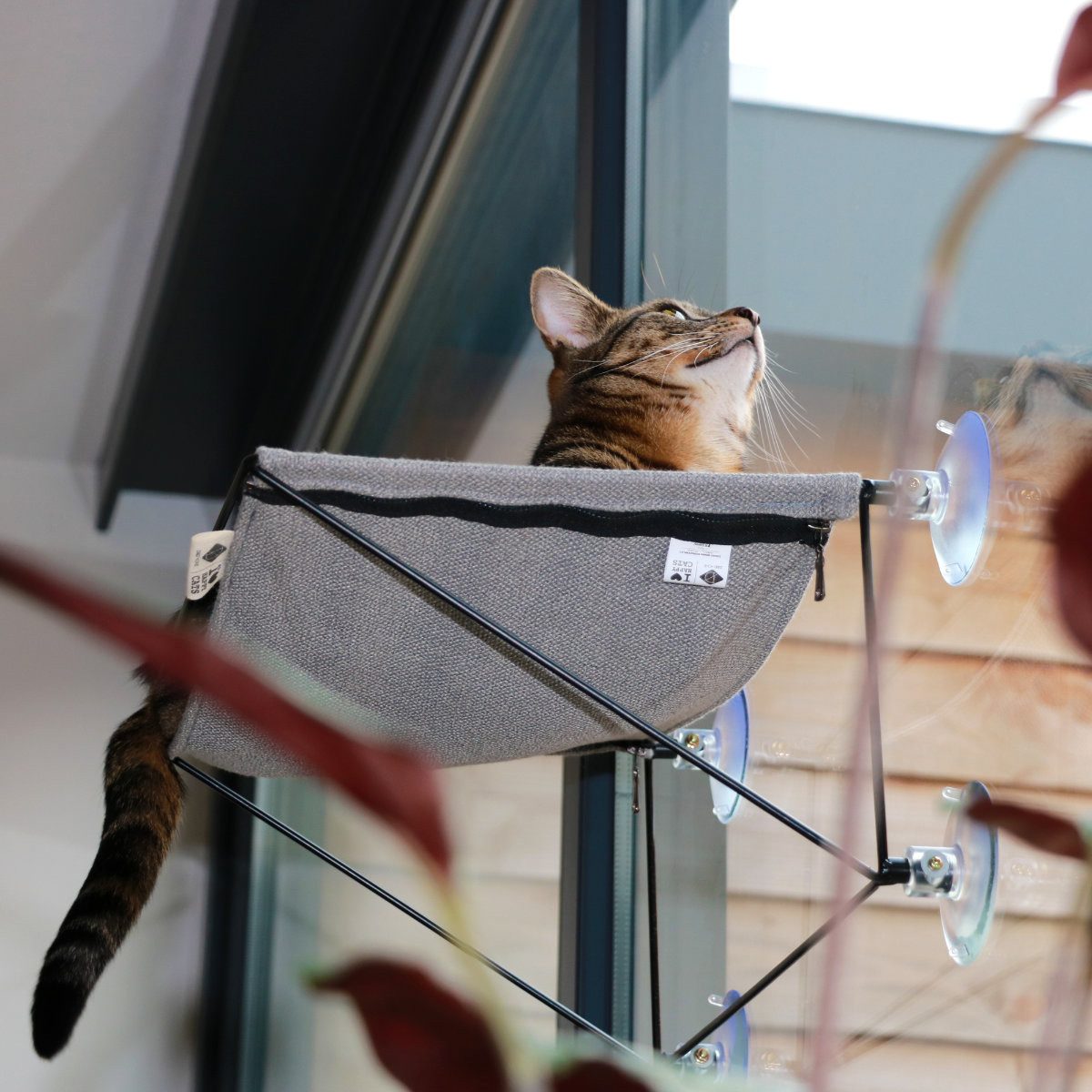 D&D Katzen-Hängematte Fenster-Hängematte I Love Happy Cats Olivia grau