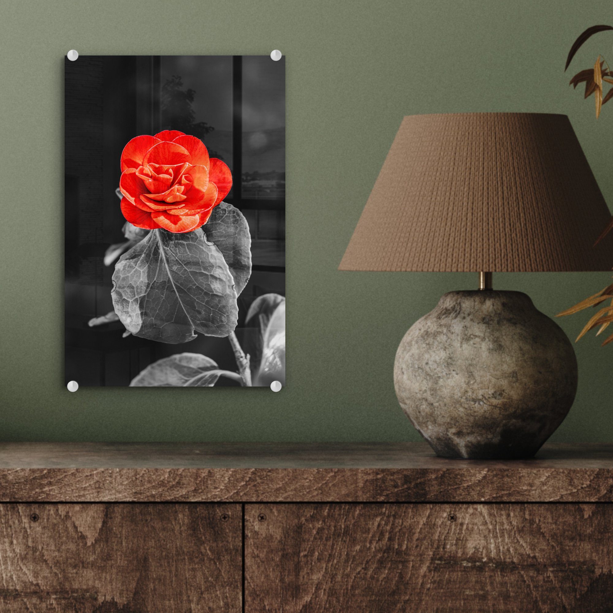 Weiß St), Glas Wanddekoration Foto Rot, - auf Bilder (1 - Rose auf MuchoWow - - Glasbilder bunt - - Glas Wandbild Schwarz Acrylglasbild - Blumen