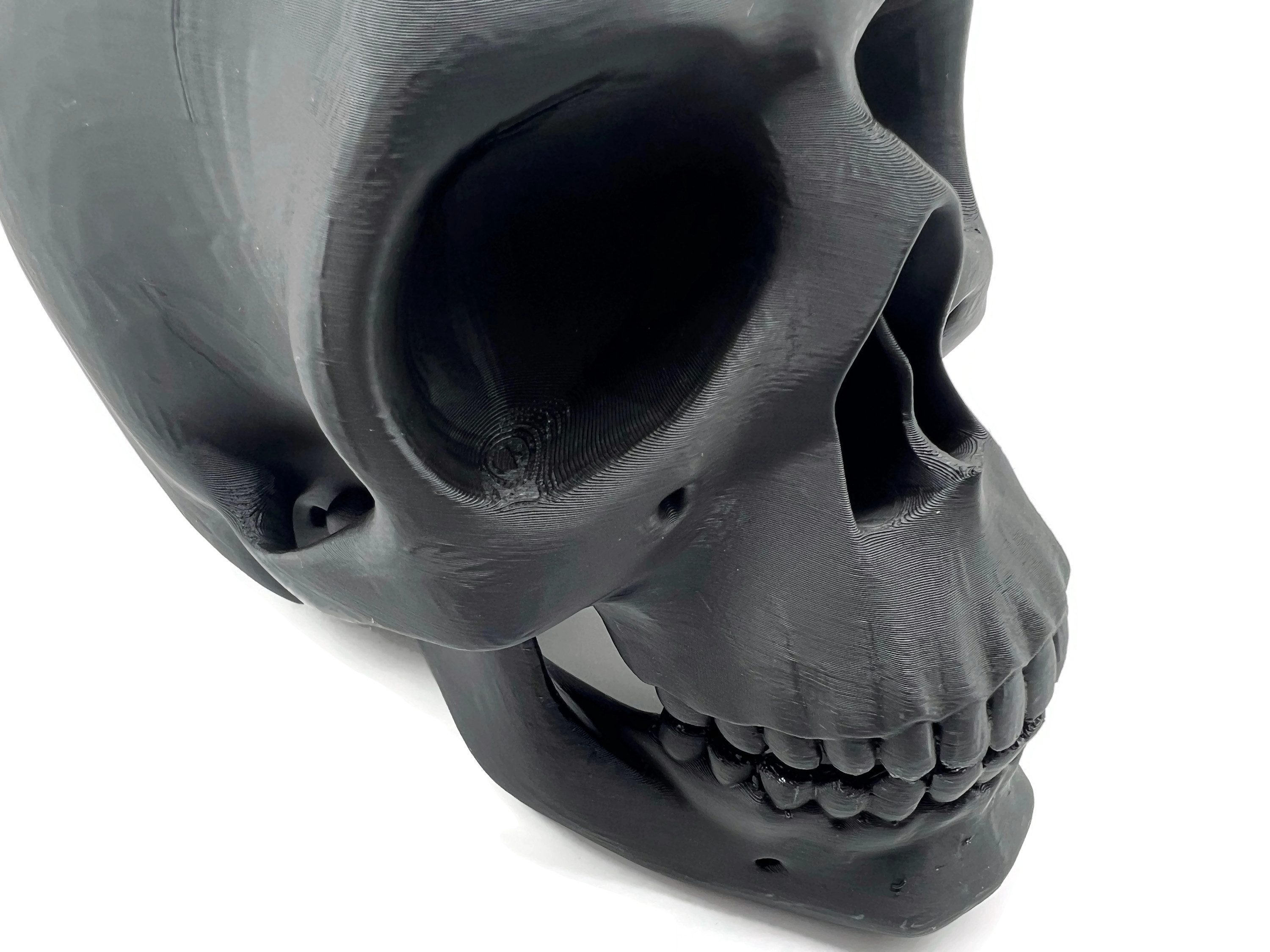 eXODA Skulptur Totenkopf Skulptur Schädel Skulptur als Dekoration oder Lehrmittel