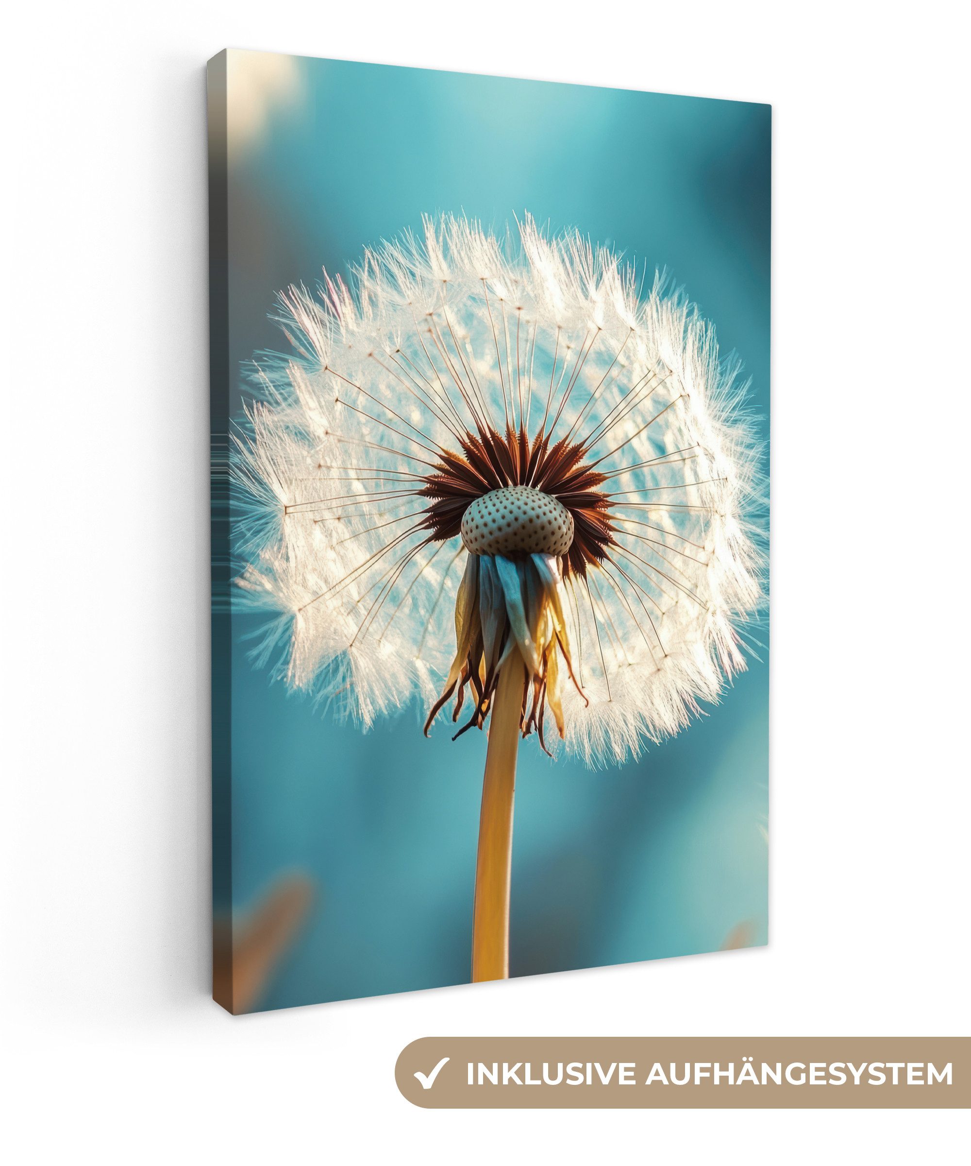 OneMillionCanvasses® Leinwandbild Löwenzahn - Natur - Blumen - Blau, Fotodr günstig online kaufen