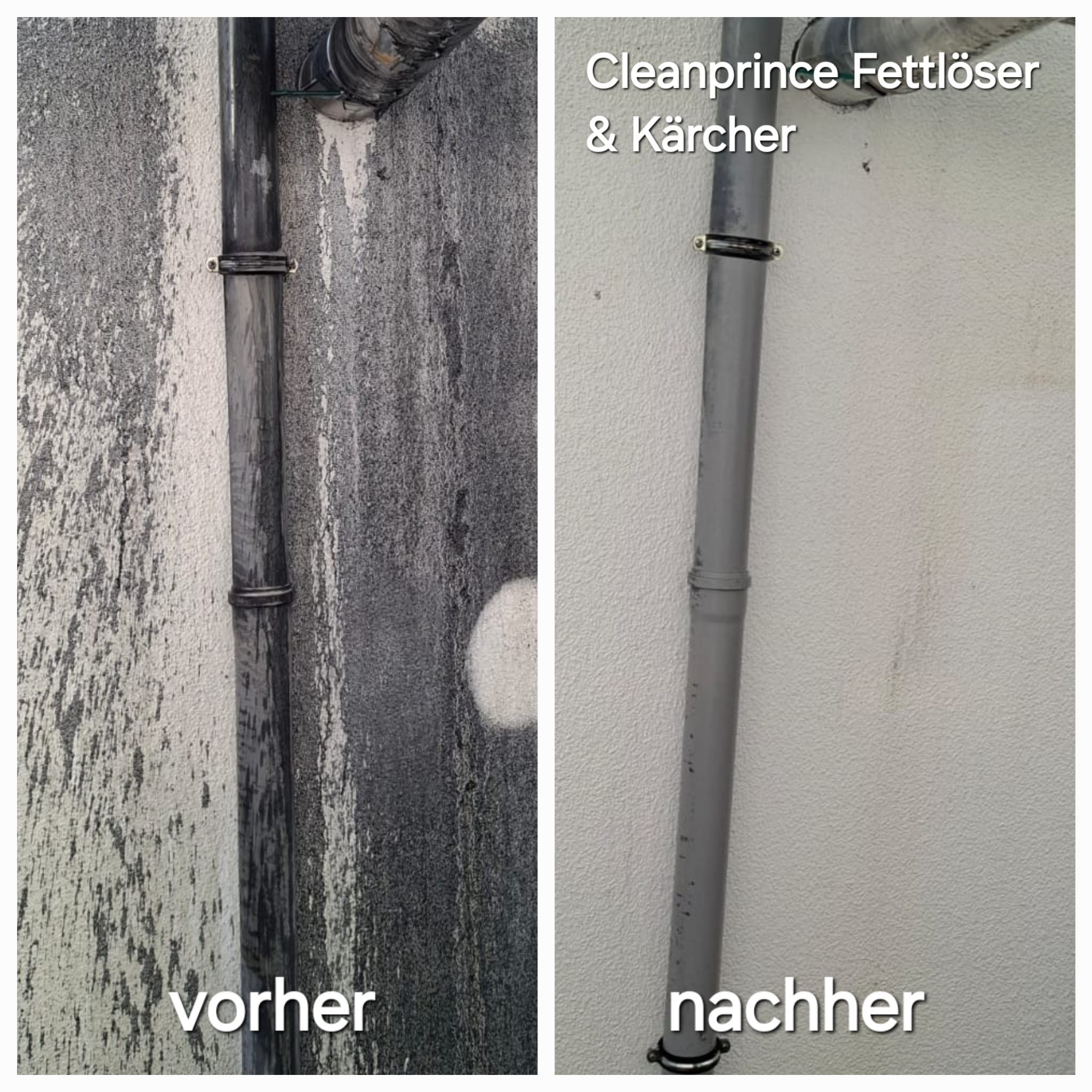 CleanPrince Premium Fettlöser Konzentrat Reinigungskonzentrat (extrem fettlösend)