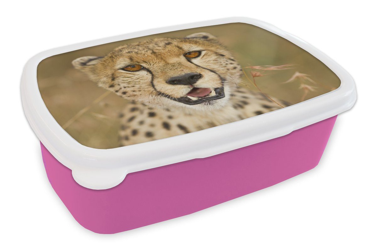 MuchoWow Lunchbox Leopard - Kopf - Pflanzen, Kunststoff, (2-tlg), Brotbox für Erwachsene, Brotdose Kinder, Snackbox, Mädchen, Kunststoff rosa