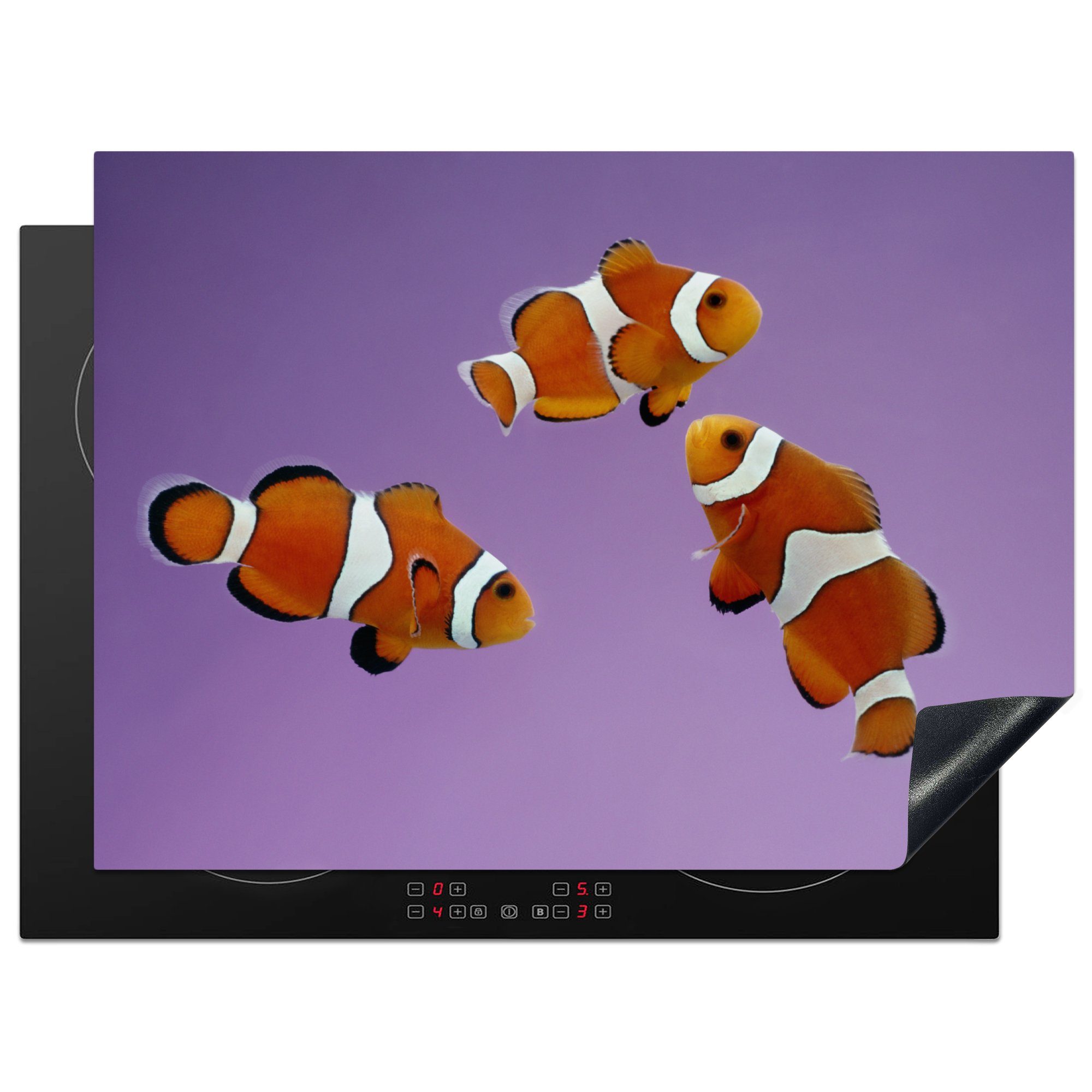 MuchoWow Herdblende-/Abdeckplatte Clownfisch auf lila Hintergrund, Vinyl, (1 tlg), 70x52 cm, Mobile Arbeitsfläche nutzbar, Ceranfeldabdeckung