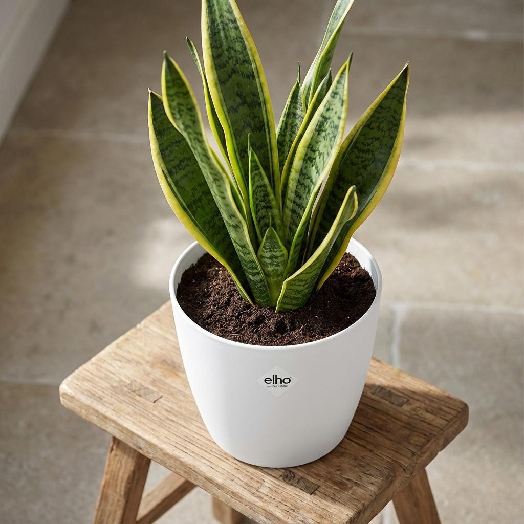 Florora Blumentopf ELHO Brussels rund 25cm Weiß - Blumentopf - D25 x H23 – Topf 25 cm