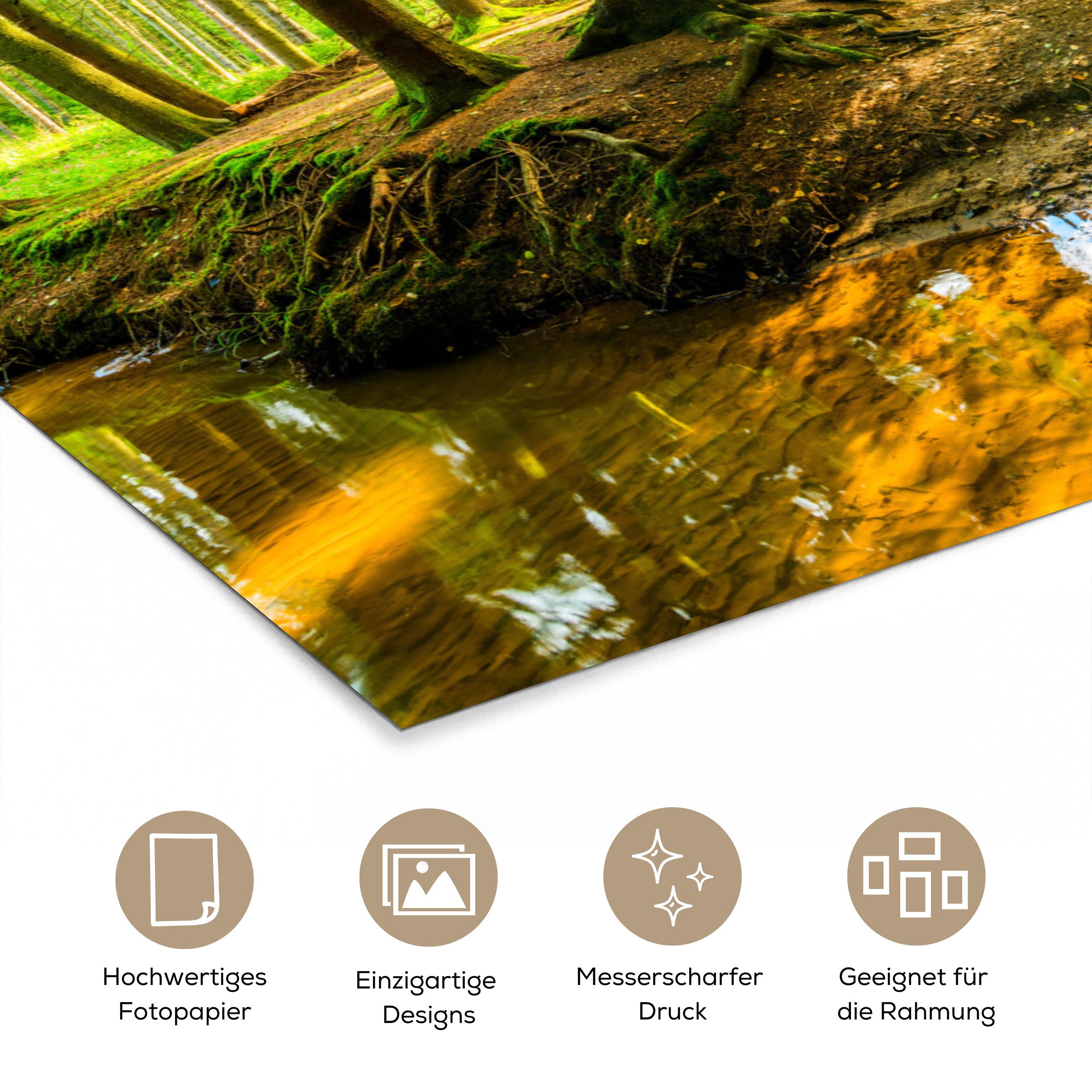 MuchoWow Poster Wald - Landschaft - Wasser - Bäume - Sonne - Grün - Natur, (1 St), Poster ohne Rahmen, Wandbild, Wandposter, 30x20 cm – Bild 3 von 5