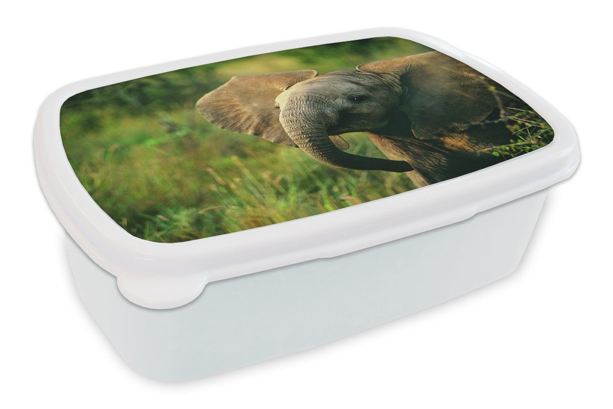 MuchoWow Lunchbox Elefant - Grün - Tiere - Natur, Kunststoff, (2-tlg), Brotbox für Kinder und Erwachsene, Brotdose, für Jungs und Mädchen weiß