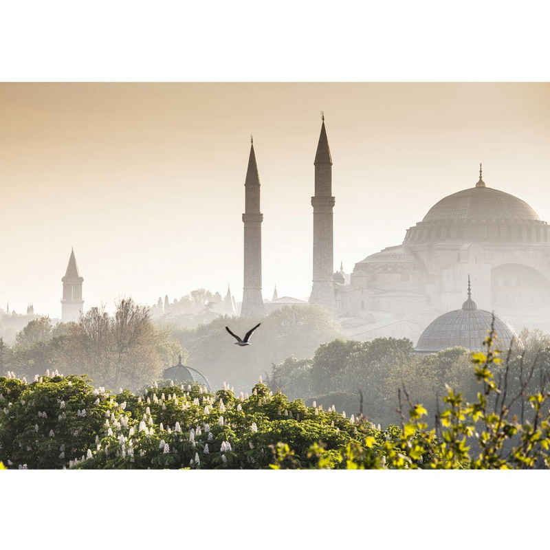 liwwing Fototapete Fototapete Istanbul Türkei Moschee Natur Nebel liwwing no. 250, Türkei