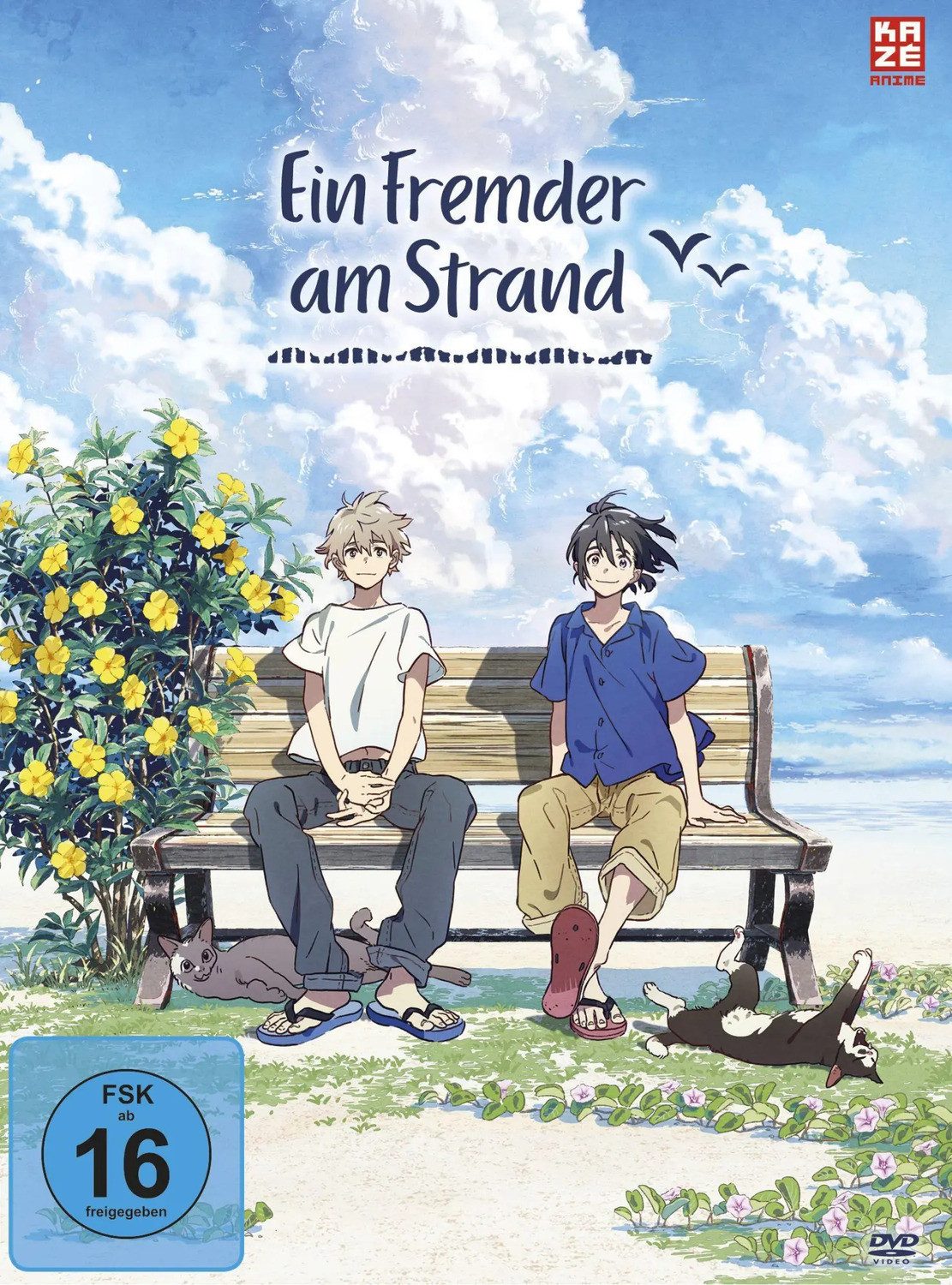 DVD Ein Fremder am Strand - DVD [Limited Edition]