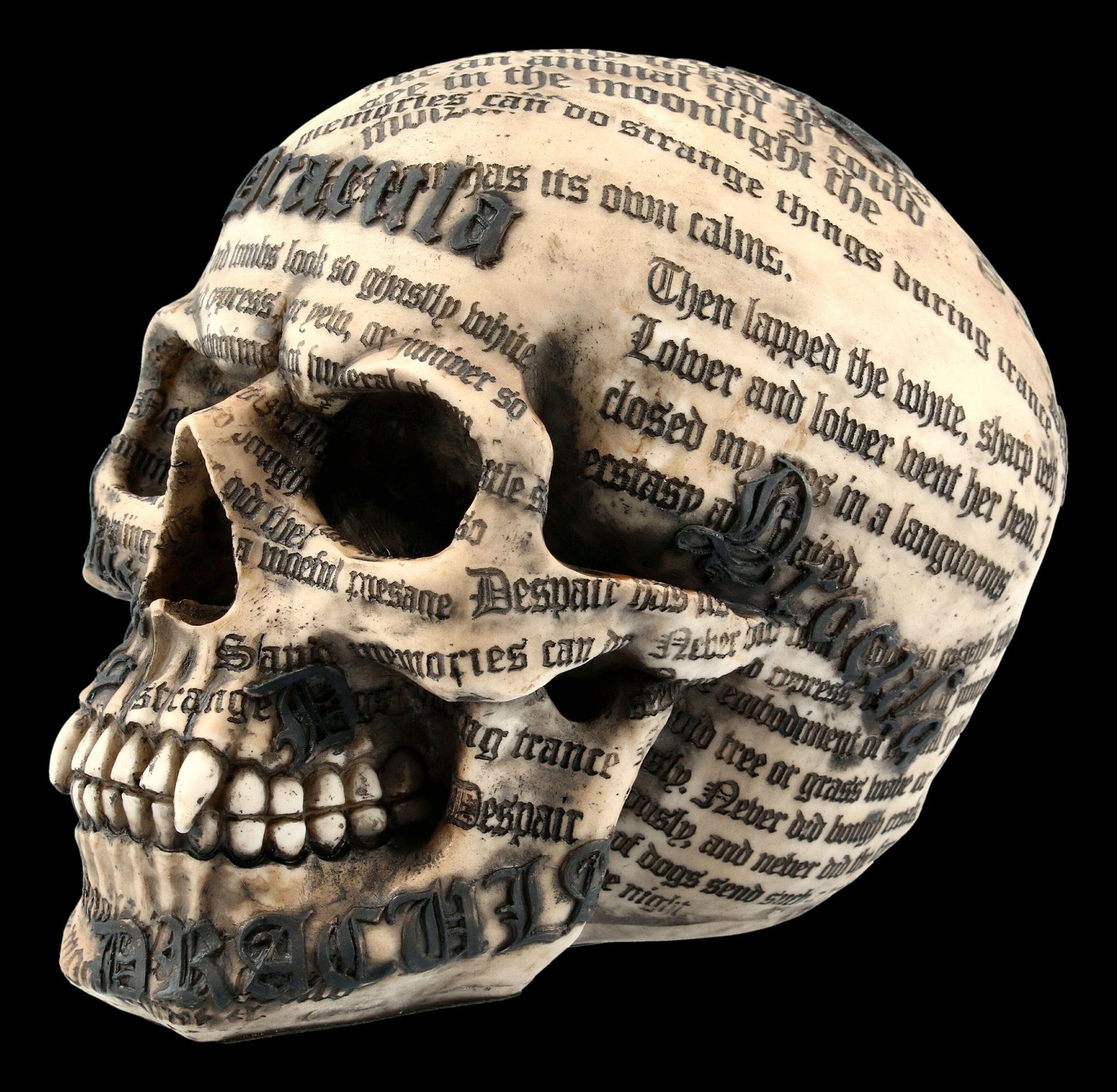 Figuren Shop GmbH Fantasy-Figur Totenkopf Vampir - Draculas Tale - Nemesis Now Gothic Deko