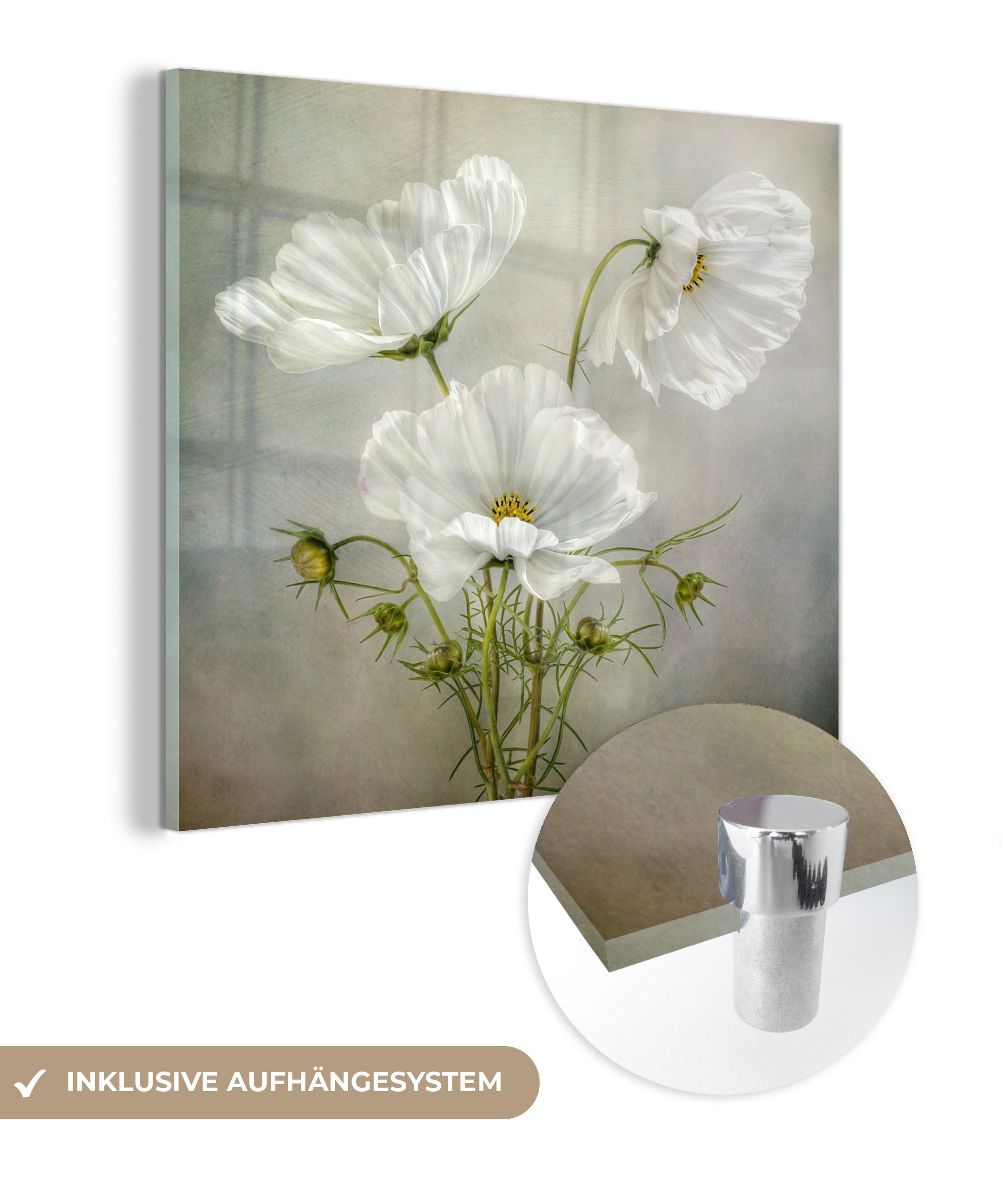 MuchoWow Acrylglasbild Blumen - Stillleben - Mohn - Weiß - Botanisch, (1 St),  Glasbilder - Bilder auf Glas Wandbild - Foto auf Glas - Wanddekoration