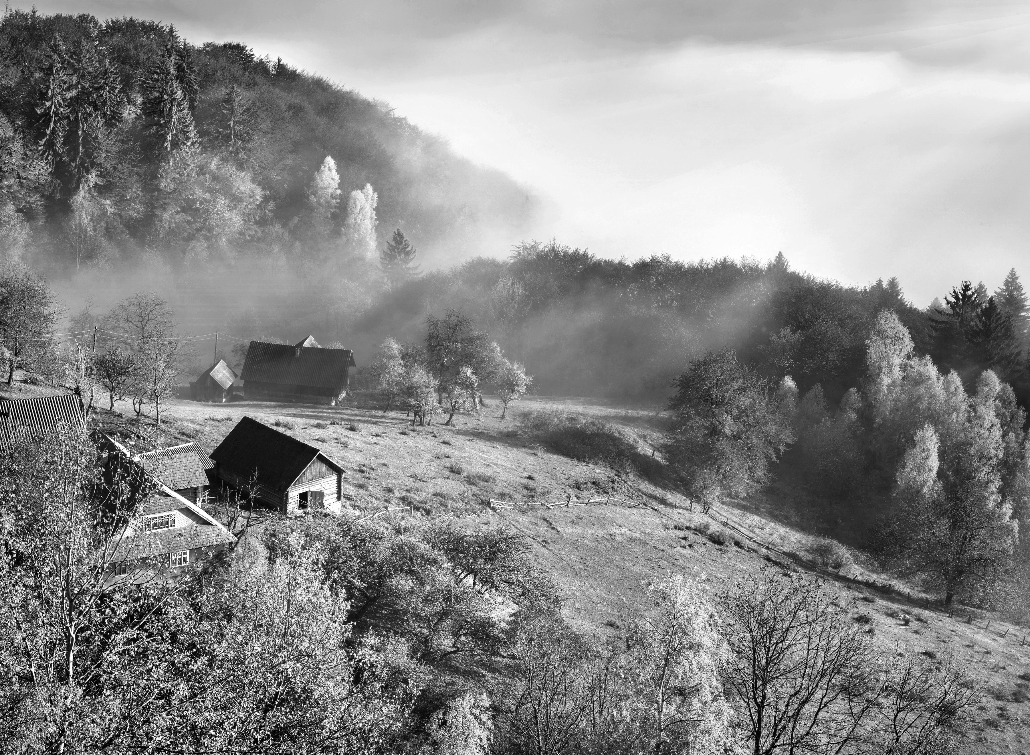 Fototapete Papermoon Landschaft schwarz weiß &