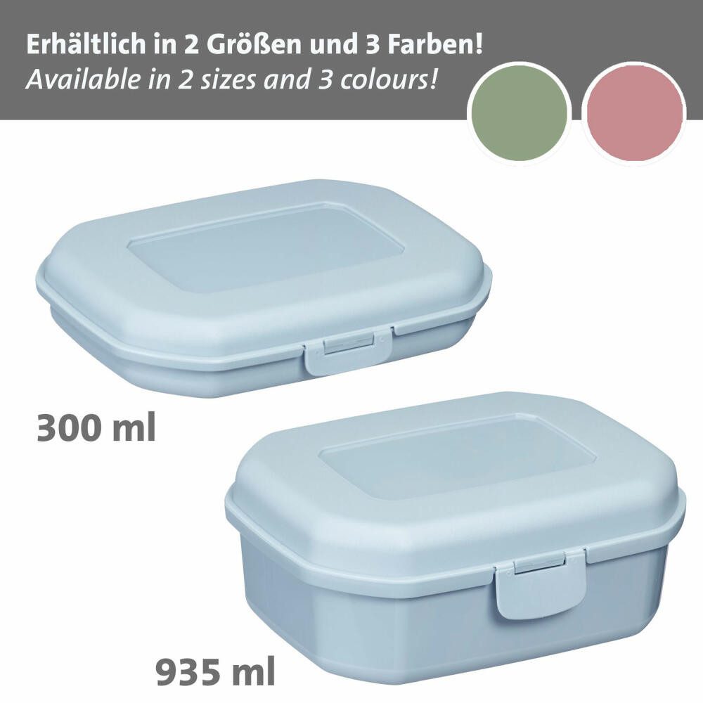 WESTMARK Lunchbox Brotdose/Snackbox, mit Klick-Verschluss, Höhe: ca. 3,7 cm, Blau, PP