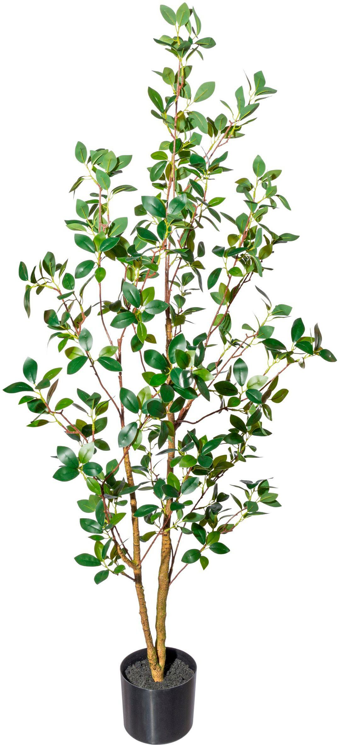 Kunstbaum Ficus ginseng Grünpflanze, Creativ green, günstig online kaufen