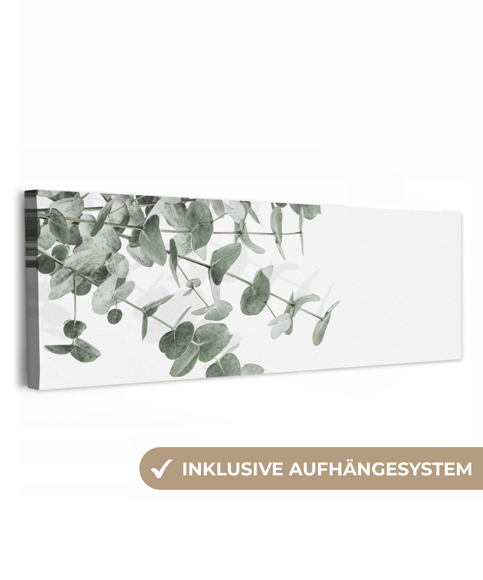 OneMillionCanvasses® Leinwandbild Panorama Eukalyptus - Blätter - Natur - Grün, Fotodruck (1 St), Wandbild, Deko Schlafzimmer Wohnzimmer Flur 60x20 cm