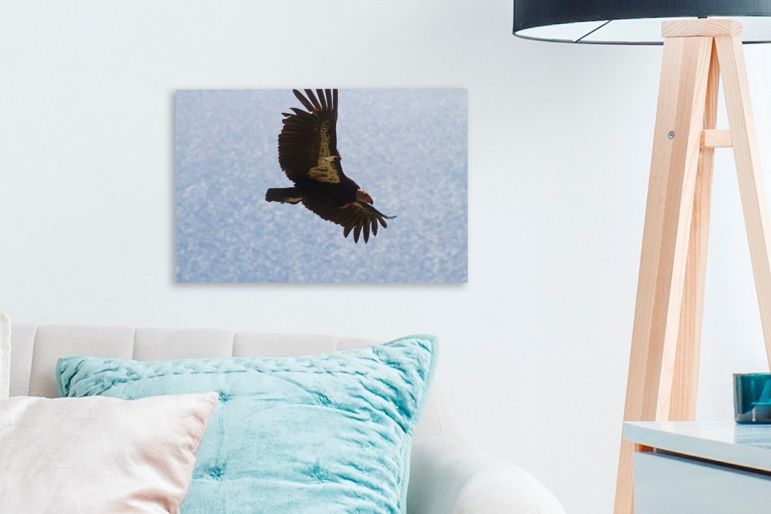 (1 Leinwandbild 30x20 Wanddeko, cm das Wasser, St), kalifornischer Ein Leinwandbilder, Wandbild Aufhängefertig, fliegt Kondor über OneMillionCanvasses®