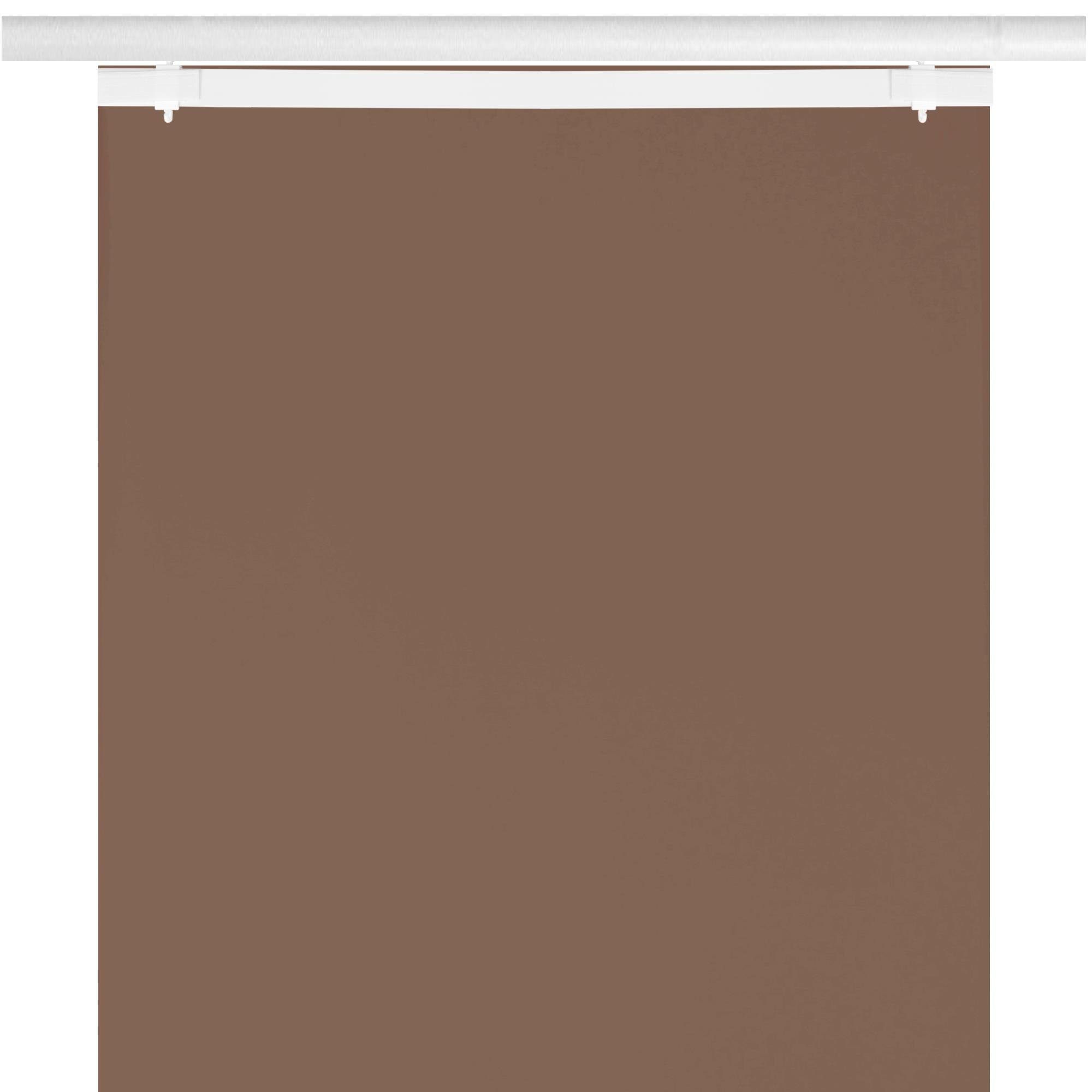 Dunkelbraun 260cm (BxL), Klettband 60cm (3 x Bestlivings, transparent, Klettband Vorhang, St), Transparente mit Schiebegardine