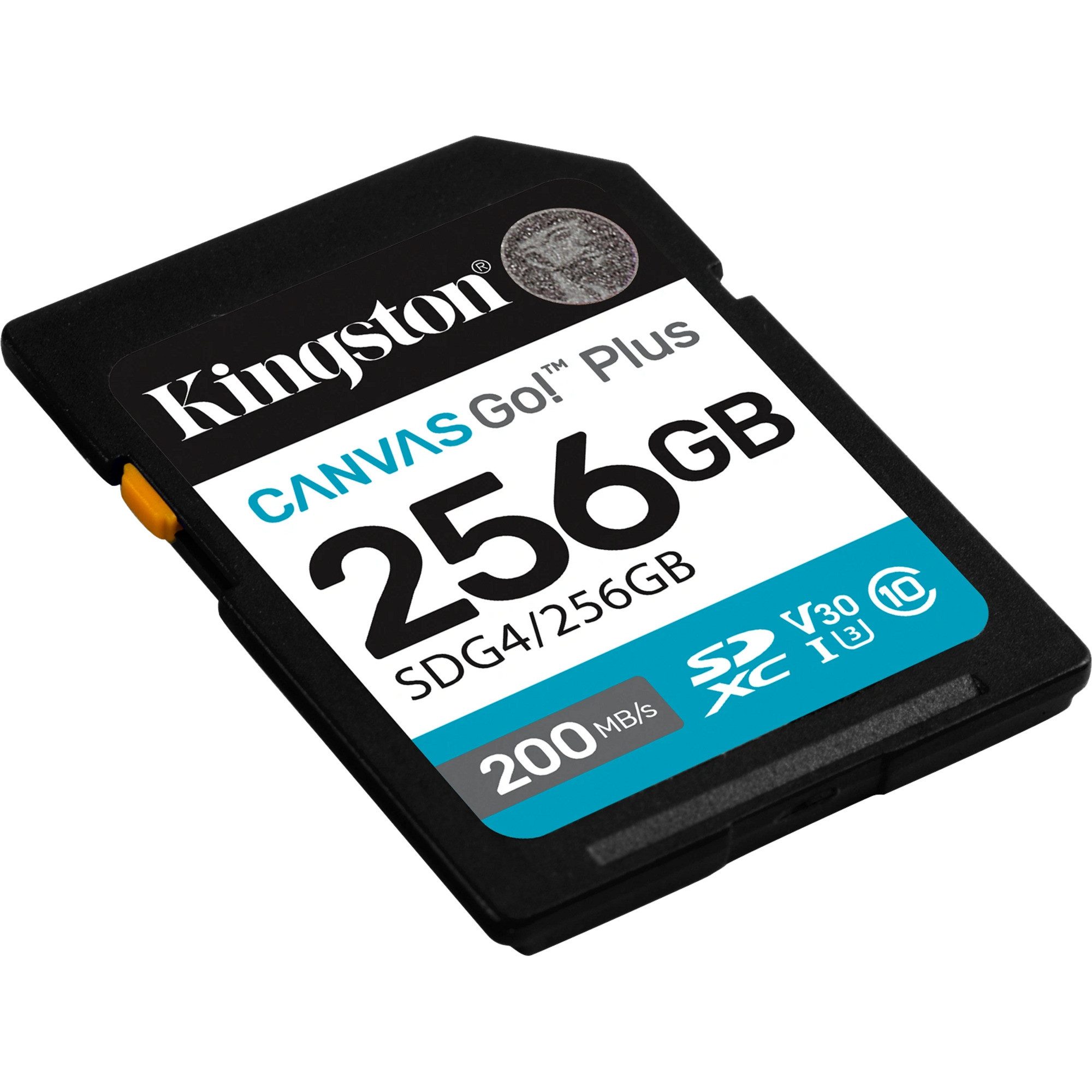 Kingston Kingston Canvas Go! Plus 256GB SDXC, externer Speicher (256 GB GB)