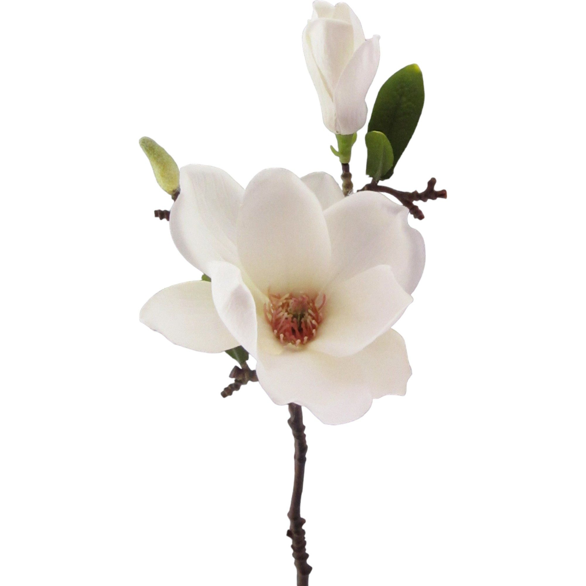 Kunstblume Kunstblume MAGNOLIE 37cm. Mit Magnolienblüte und Knospe., Gasper, Höhe 37.00 cm